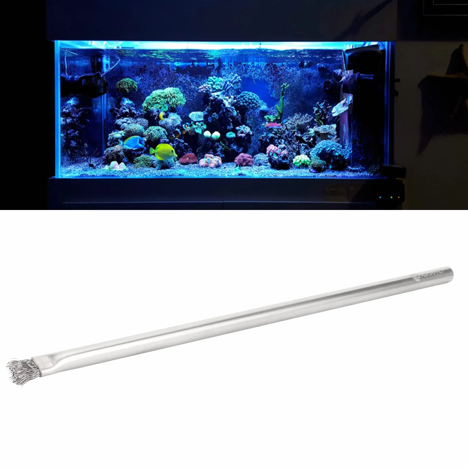 Brosse à algues d'aquarium en acier inoxydable 304, professionnelle et durable