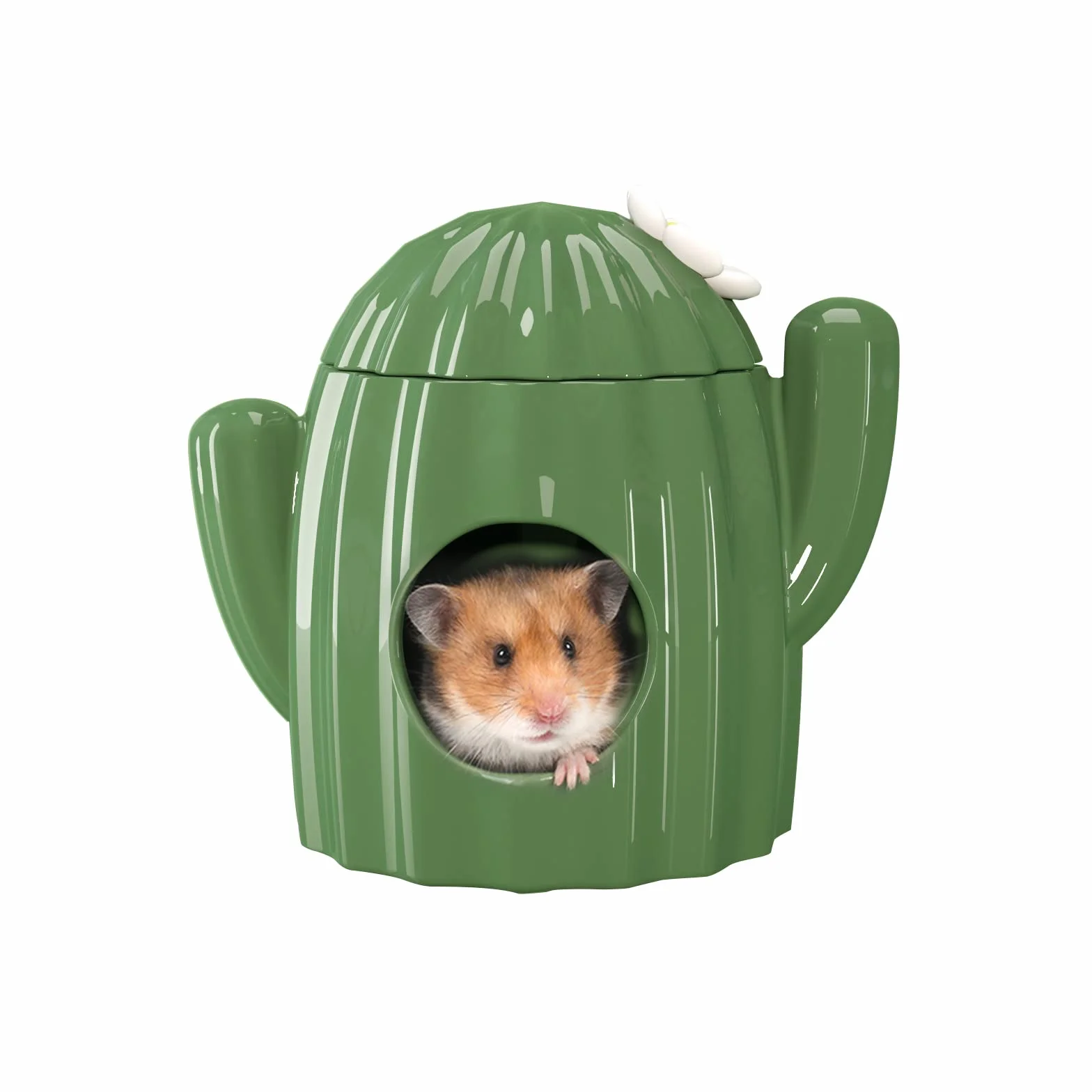 BUCATSTATE Maison de Hamster en Céramique – Cachette et Habitats de Hamster en Forme de Cactus Idéal pour Nain Gerbille Souris Ours Doré