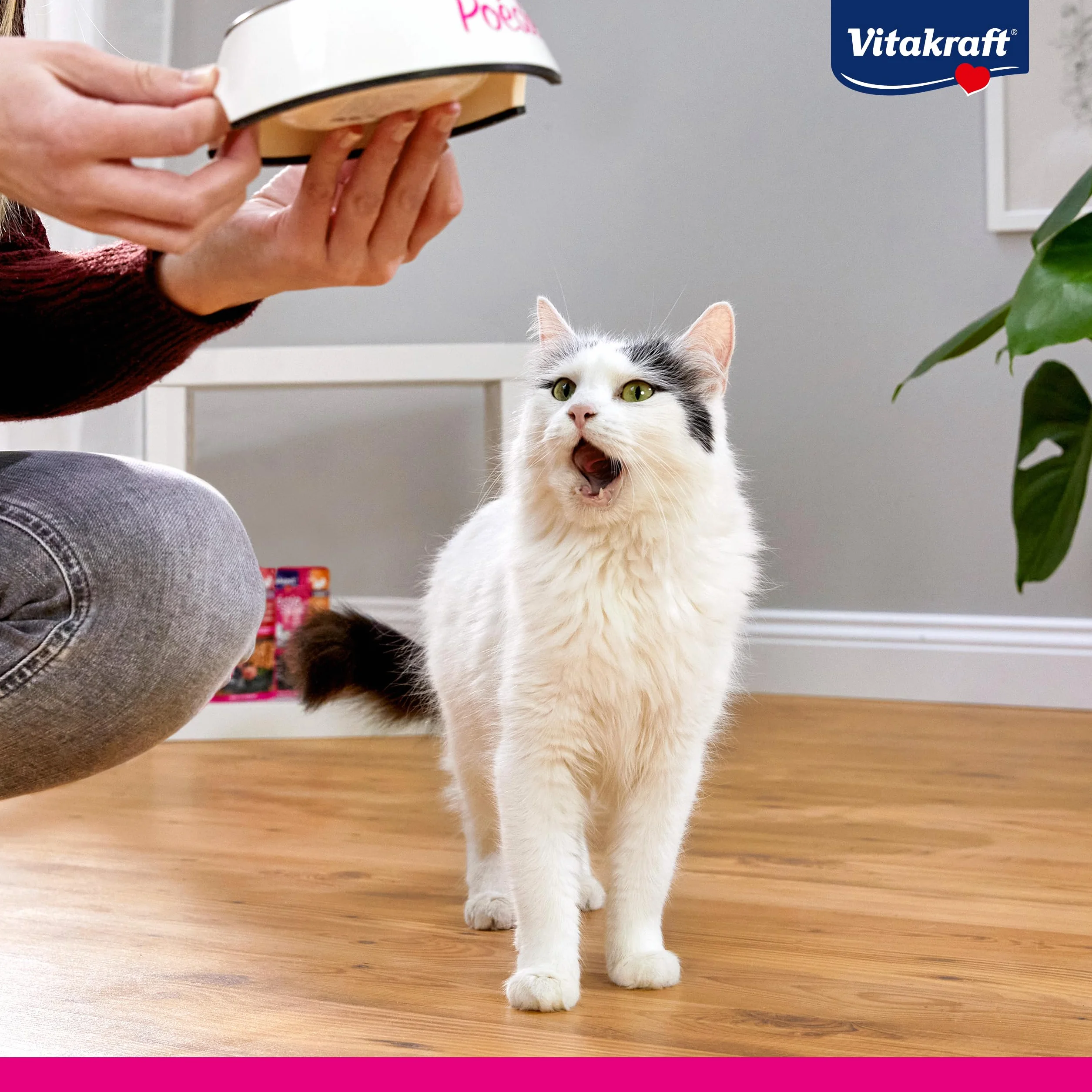 VITAKRAFT Poésie Création Sélection Tendre Nourriture Humide pour Chats en Sauce Poulet Dinde Bœuf 6x85g