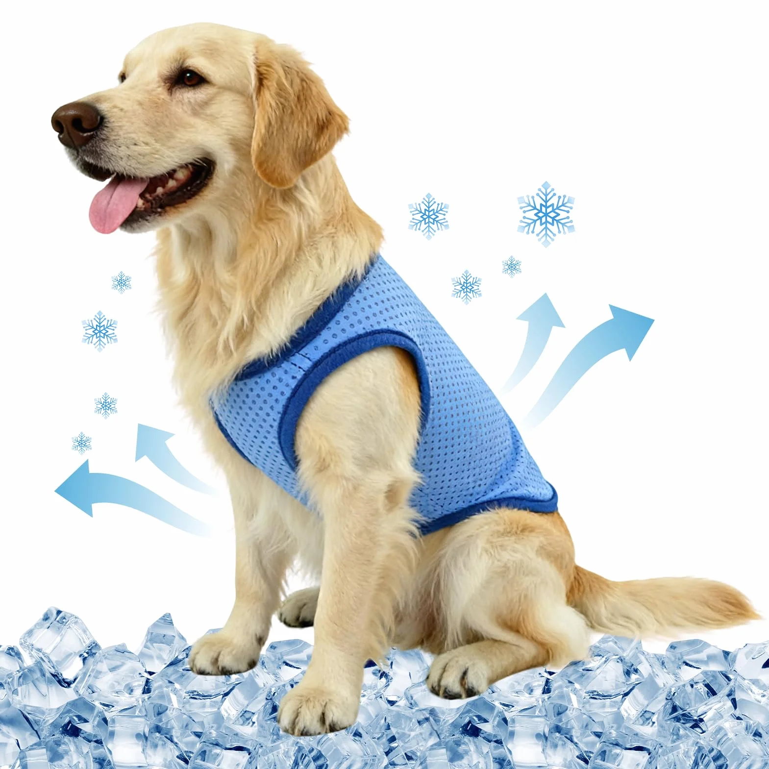 Veste de Refroidissement pour Chien Respirante été, Gilet Rafraichissant Chien, Style sans Manches Frais et Confortable, Manteau Rafraichissant pour Chien, Accessoires Généraux (XL)