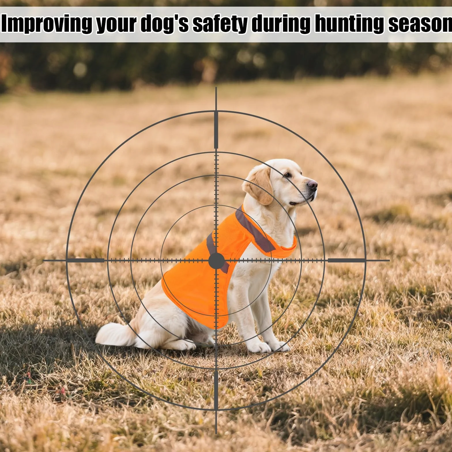 Gilet Réfléchissant pour Chien, Petite Taille, Orange Vif, Haute Visibilité, pour Extérieur Jogging Chasse