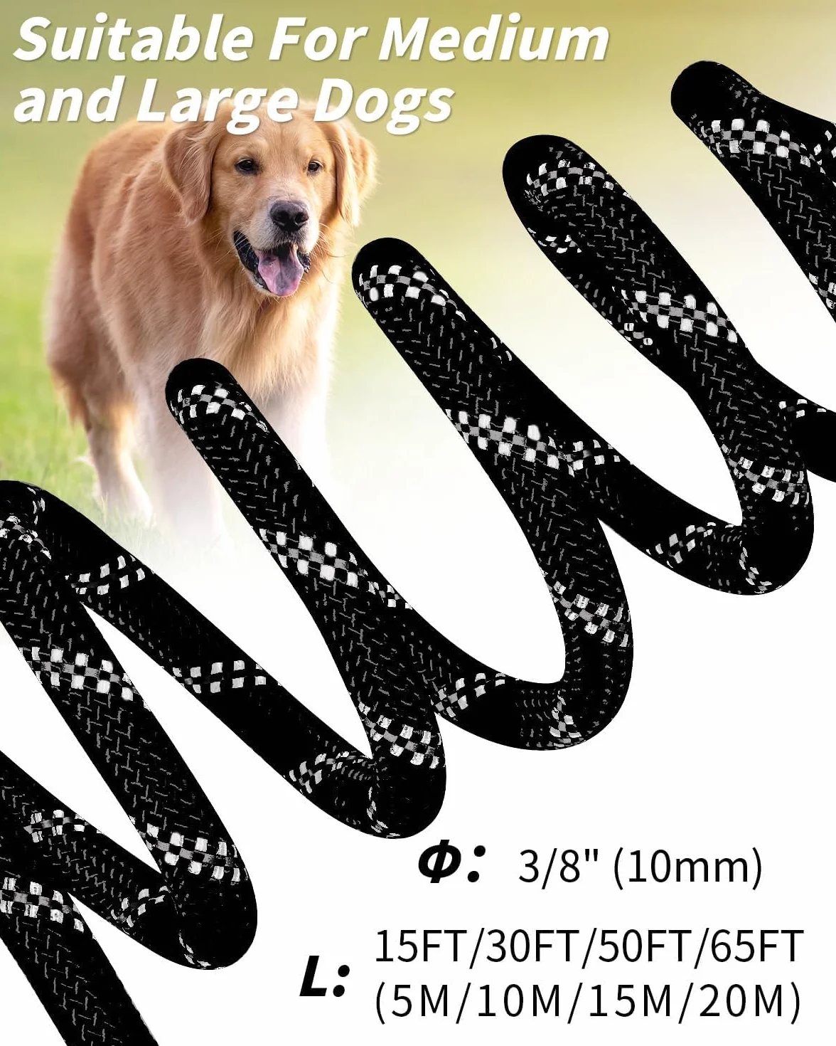 Joytale Longe pour Chien 5m Poignée Rembourrée Double Crochets Robustes Laisse de Dressage Noir