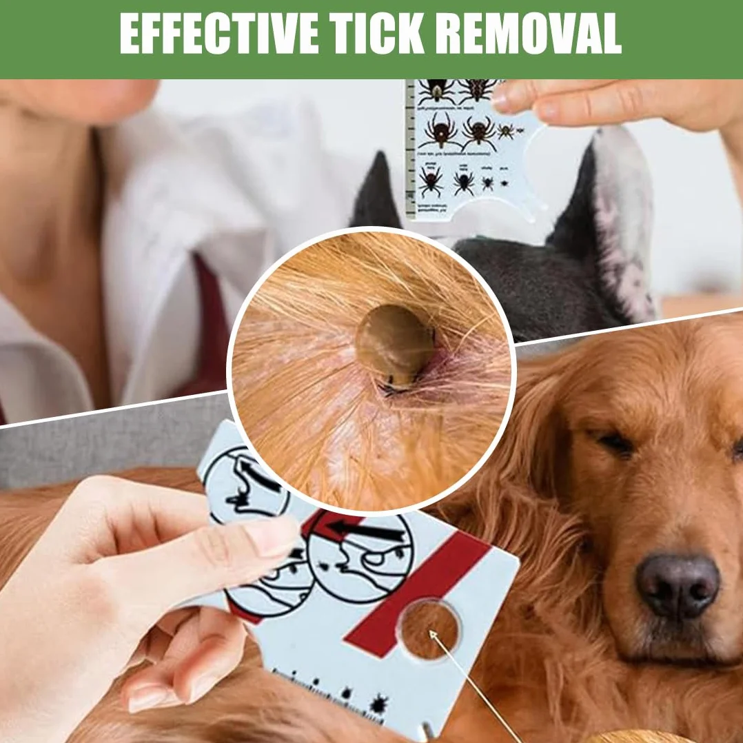 WeddHuis Peigne anti puces pour chats et chiens avec clip à tique, dents en métal, outil d'épilation multifonctionnel