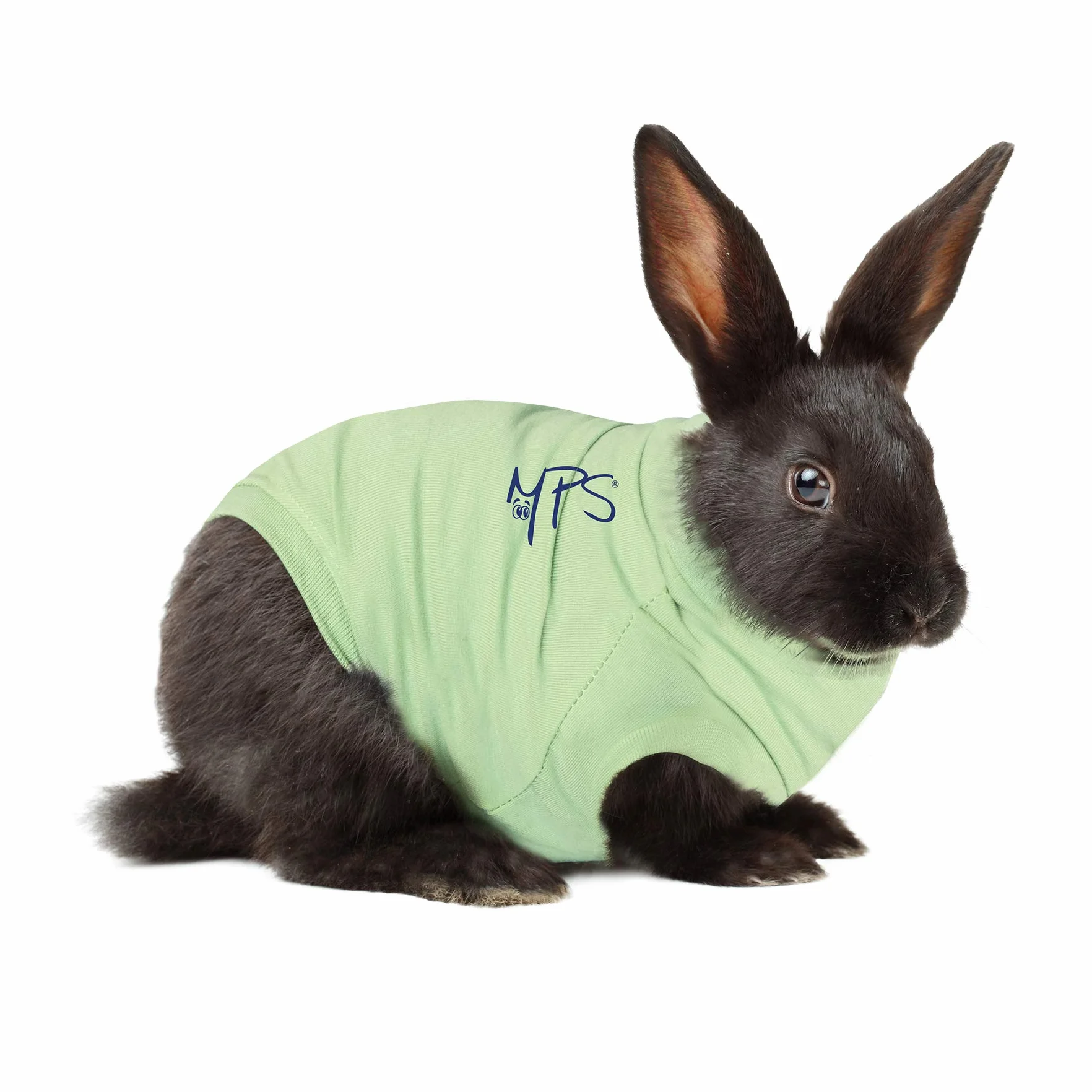 MPS Medical Pet Shirt pour Lapin, Vert, XS