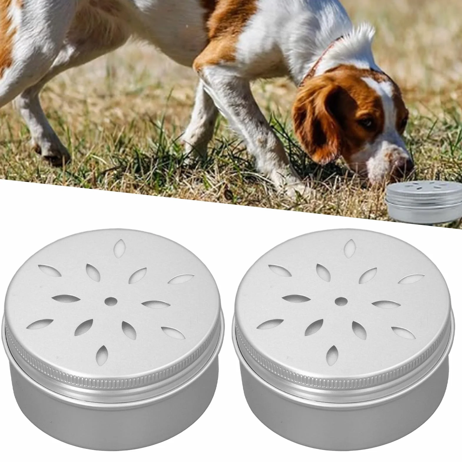 Kit d'entraînement de boîte à parfum pour chien creux avec autocollants magnétiques, récipient en métal nez animal 10 points magnétiques