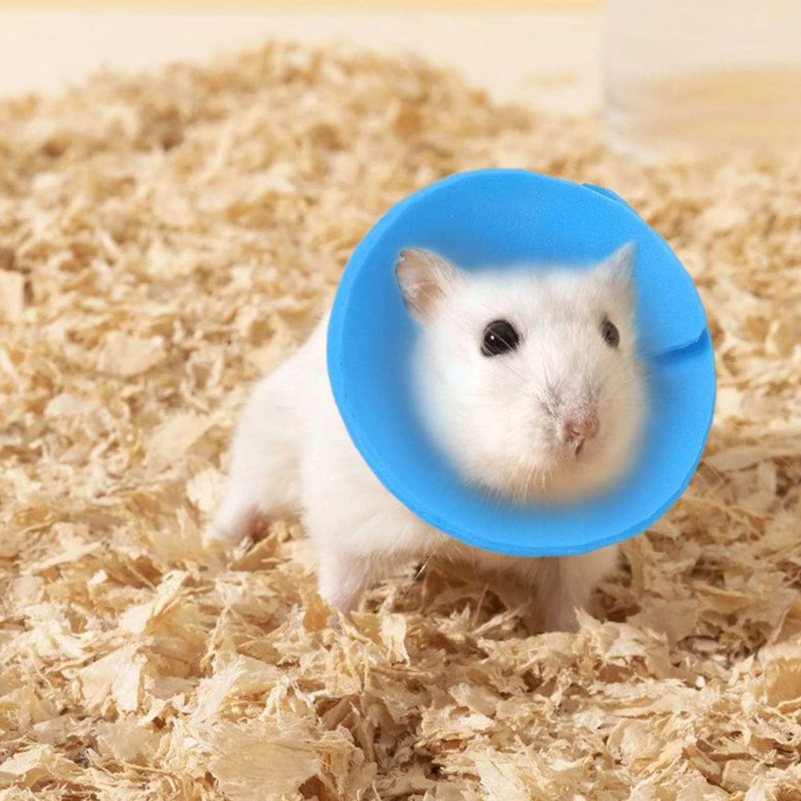 Collier Collier pour Animaux de Compagnie, Anti-Léchage Doux pour Hamster Récupération, Protection Contre Les Griffures pour Lapin Perroquet Furet au Quotidien pour Petits Animaux