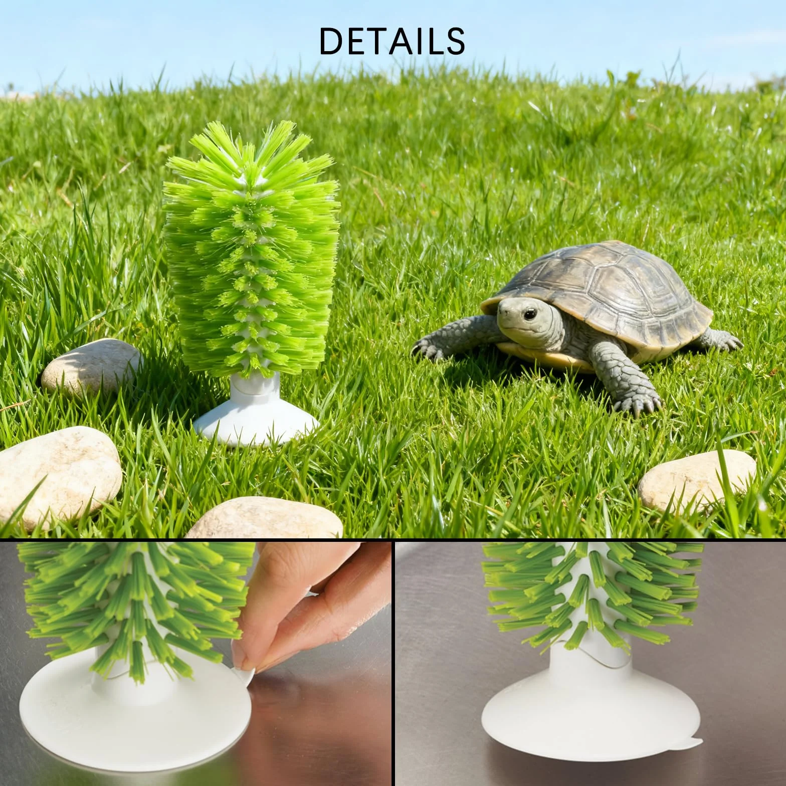 Brosse de nettoyage en forme de coquille de tortue verte avec ventouse, outil de cuisine pour maison