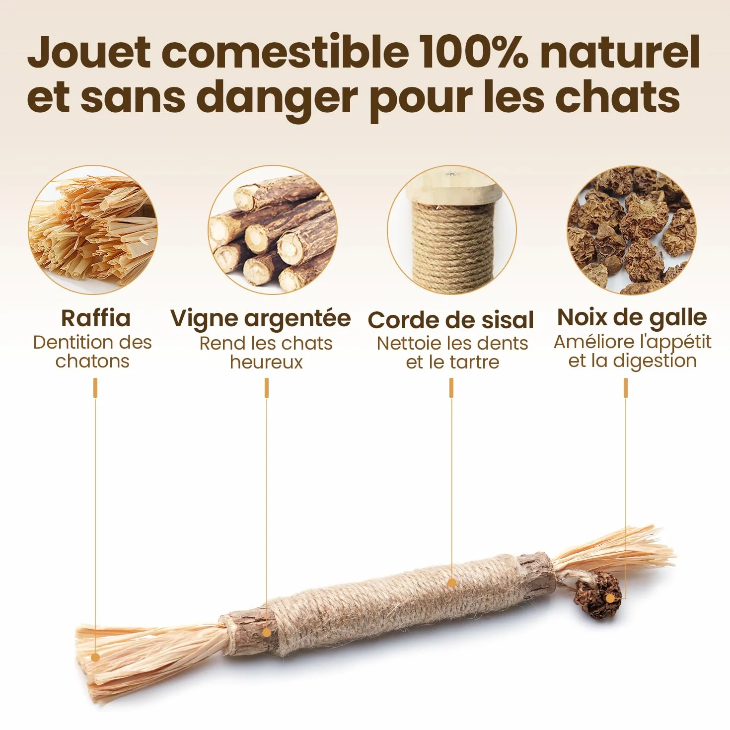 Potaroma Lot de 6 Bâtonnets Naturels pour Chats – Jouets à Mâcher avec Cataire & Silvervine