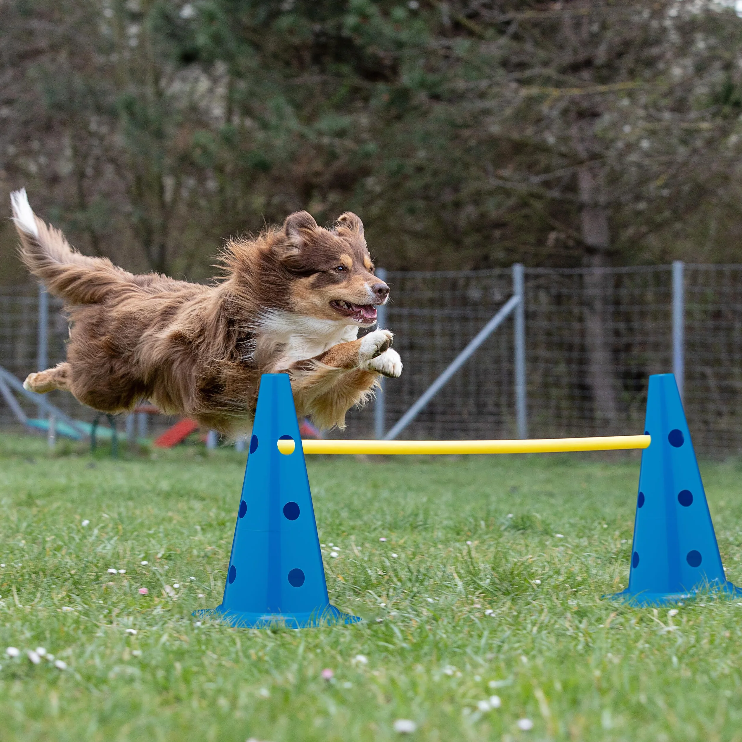 Relaxdays Set 18 pièces Cônes et Barres Agility Chien Football Bleu Jaune