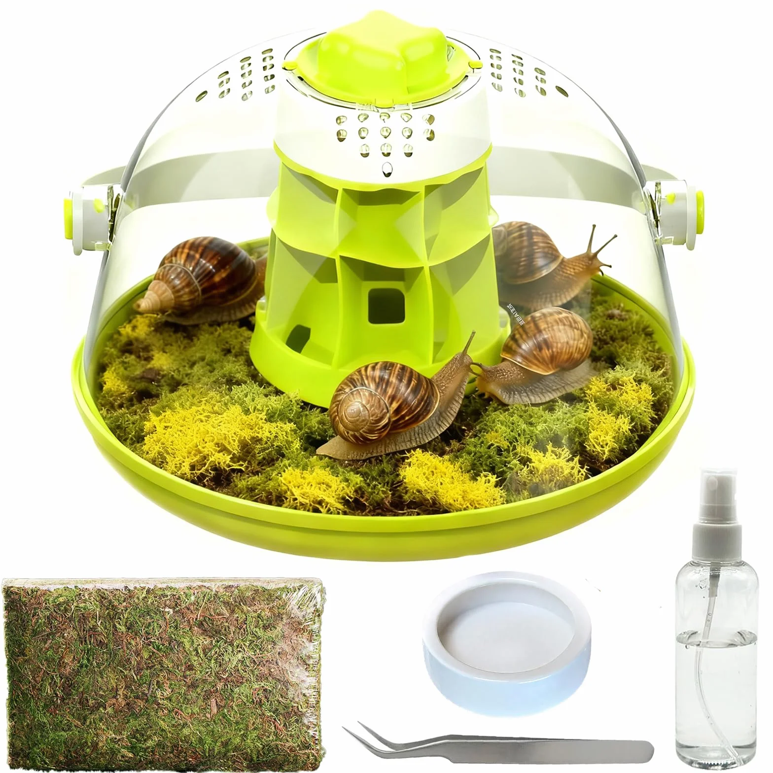 Kit de terrarium pour escargots - Boîte d'élevage d'observation pour mantes priantes, araignées, coccinelles