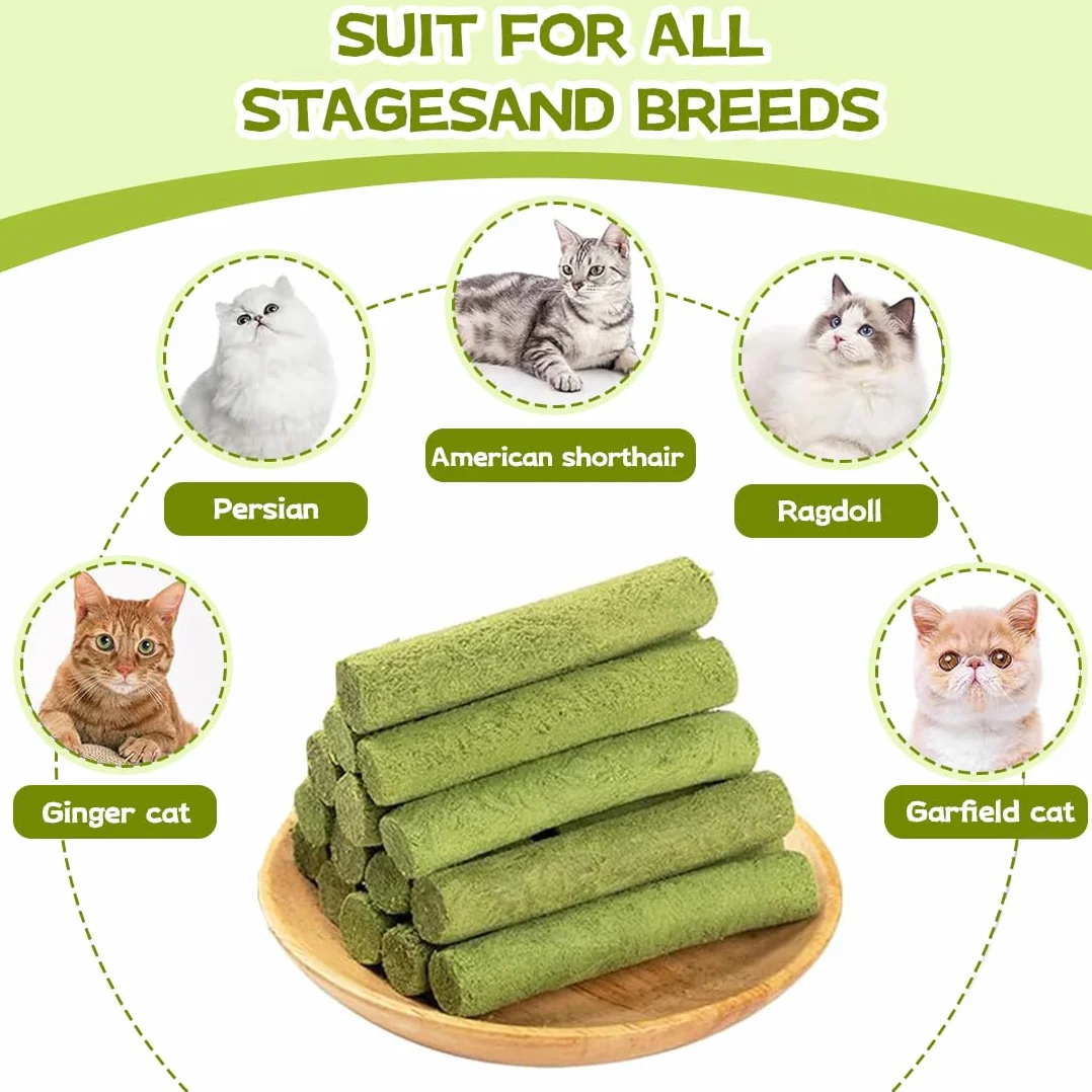 Herbe à Chat Séchée Lyophilisée 16 Pcs Friandises pour Chats Nettoyage des Dents Boules de Poils