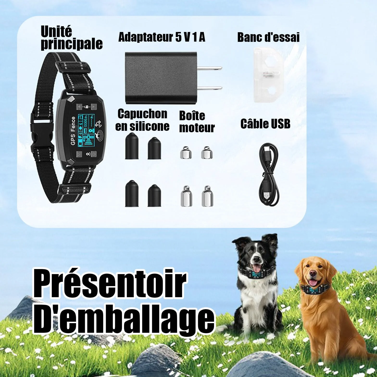 Billg Collier de Dressage pour Chien sans Fil GPS Résistant à L'Eau, 3 Modes Clôture Anti-Fugue, Portée 30-2000m, 9 Niveaux de Sensibilité