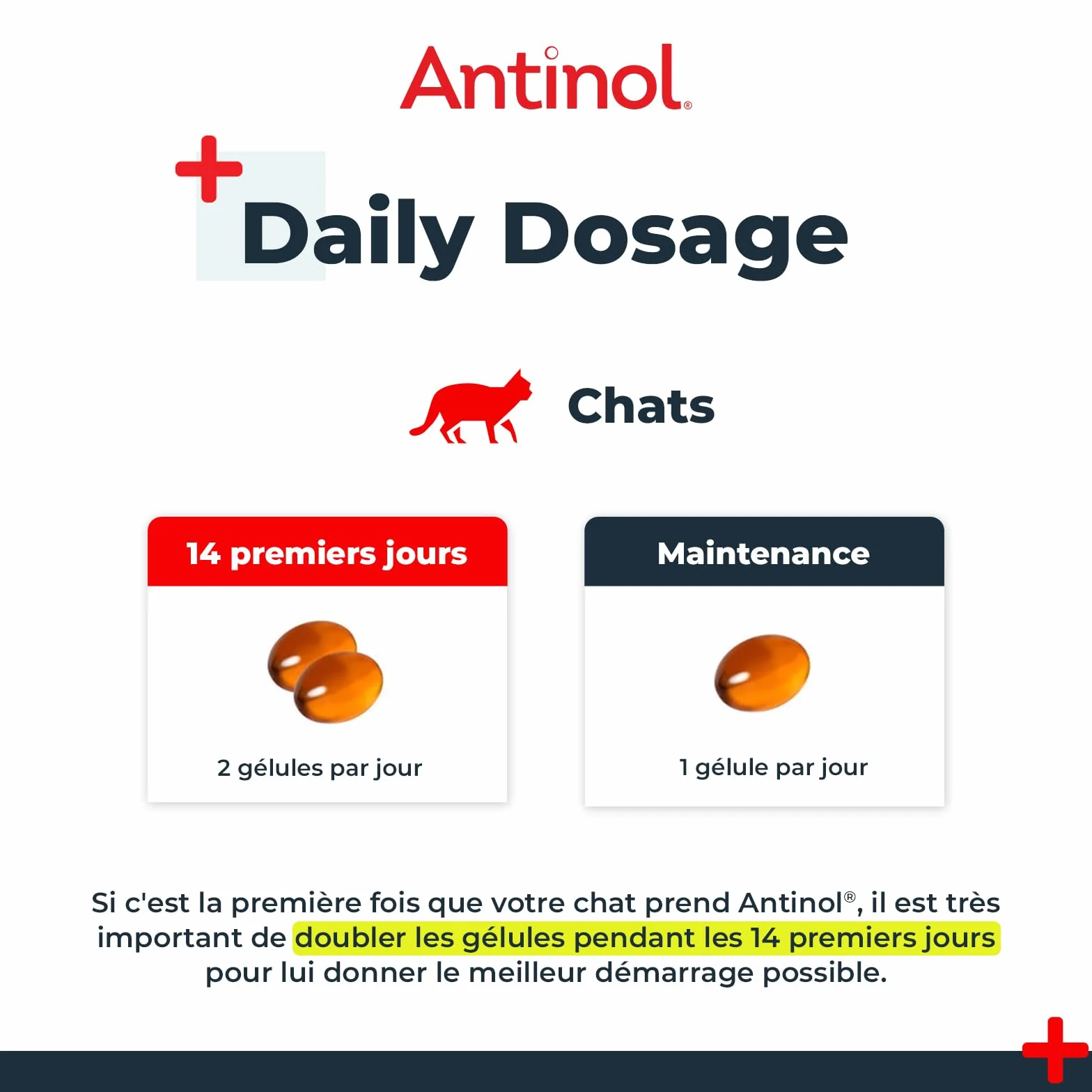 Antinol Complément Naturel des Chats Adultes Articulations Peau Huîtres Vertes Oméga 3 Vitamine E 90 Capsules