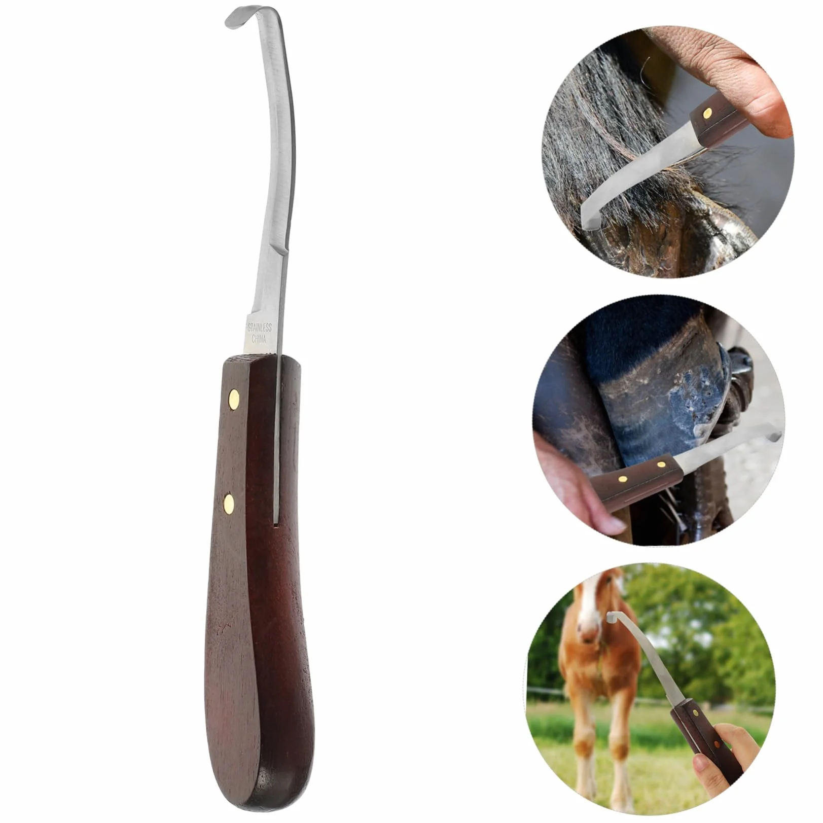 Couteau à Sabot Résistant la Rupture à Double Tranchant en Acier Inoxydable Poignée en Bois Ergonomique pour Usage Quotidien pour Soins des Sabots de Chevaux