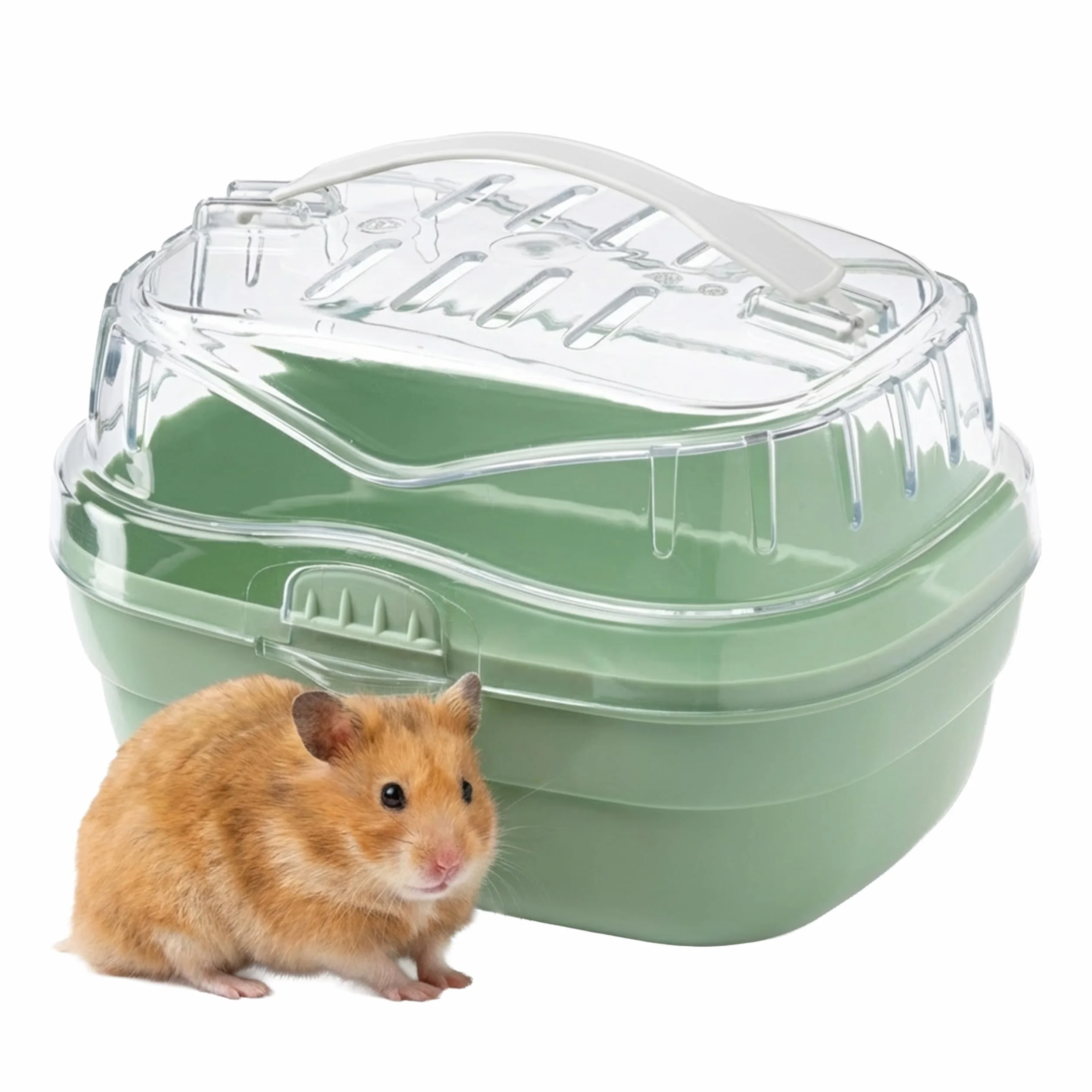Ferplast ALADINO Petite Cage de Transport pour Hamsters et Petits Rongeurs, 20 x 16 x h 13,5 cm, Vert