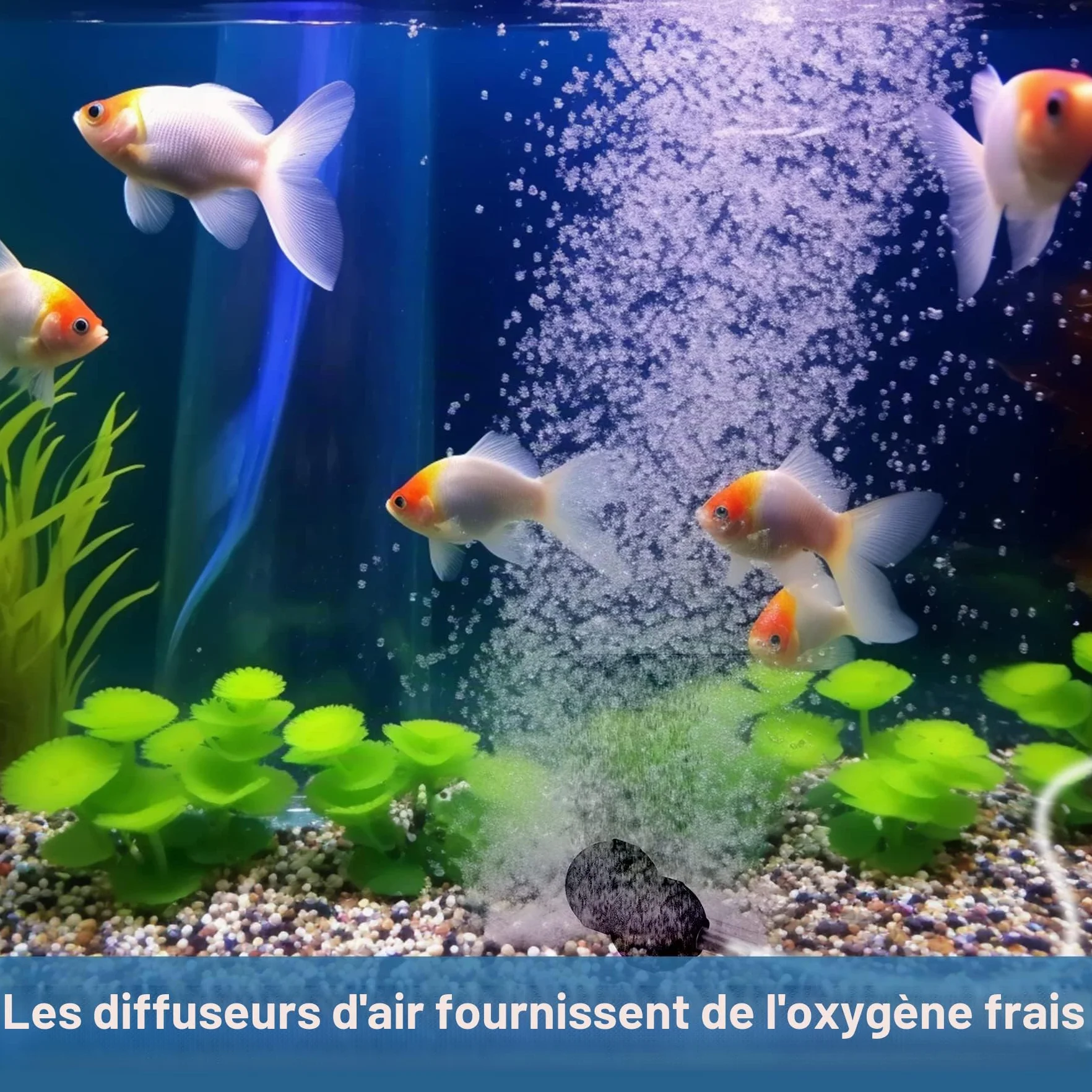 Pompe à oxygène solaire 2,5 W avec batterie 1800 mAh, 3 modes, pour bassin, étang, pêche