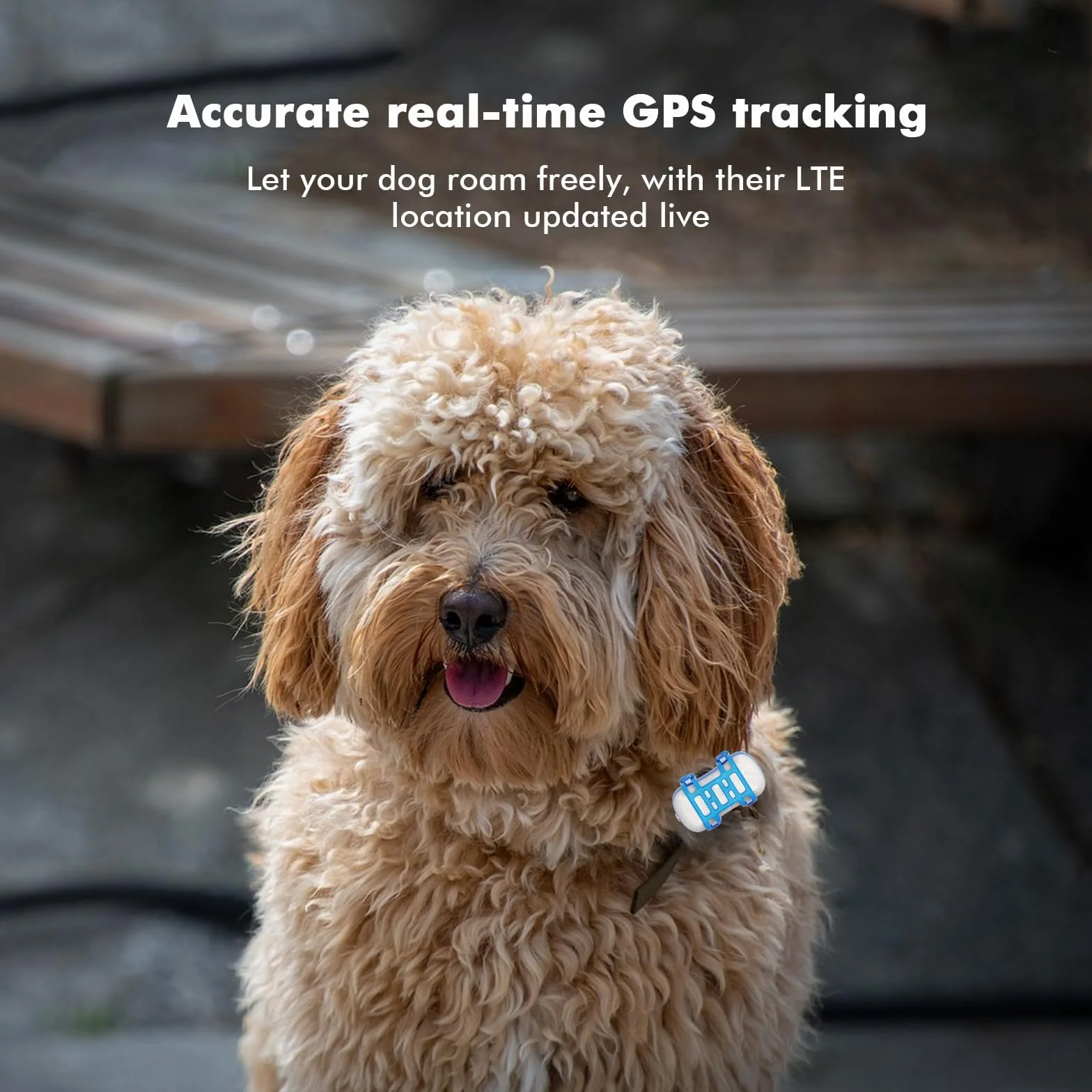 Collier GPS Chien Traceur GPS IP67 Géolocalisation Animaux