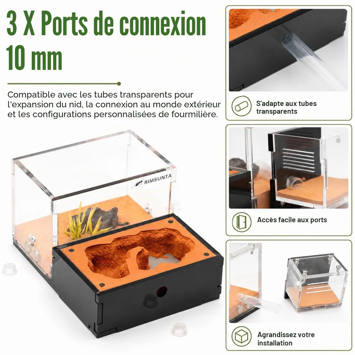 Formicarium Kit Éducatif Habitat de Ferme pour Fourmis Vivantes Reines