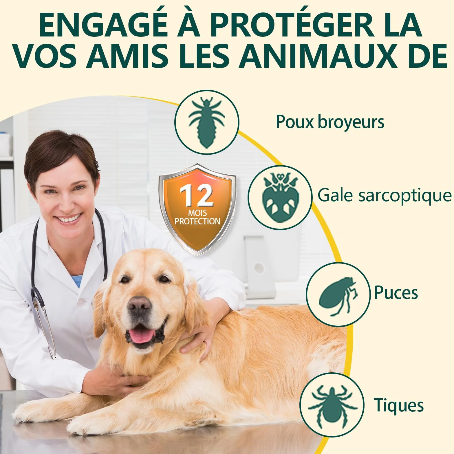 Collier Anti Puces pour Chien 65cm, 12 Mois Protection Efficace, Réglable Étanche, 2 Pack