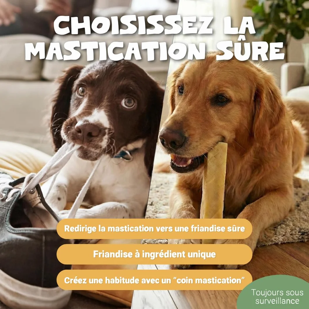 Pets Purest Barres au Lait de Yak de l'Himalayan à Mâcher Large - Friandises Naturelles Os au Fromage pour Chiens