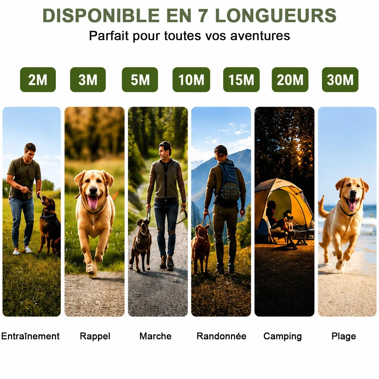 Longe pour Chien Réfléchissante 2M-30M Laisse de Dressage pour Petits Moyens Grands Chiens