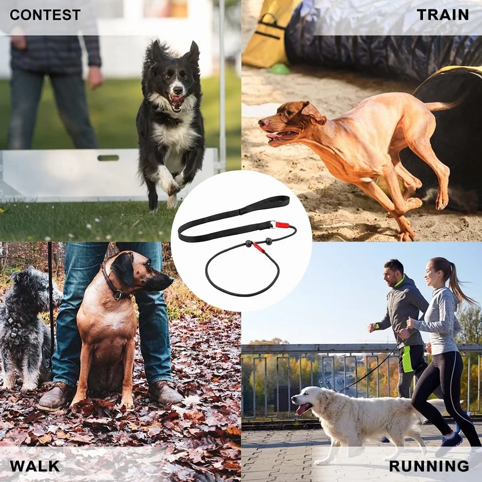 Laisse Dressage Rembourrée Corde,1,4 m Laisse de Contrôle Professionnelle avec 2 Poignées pour Chien Chiots de Petite Taille Moyenne
