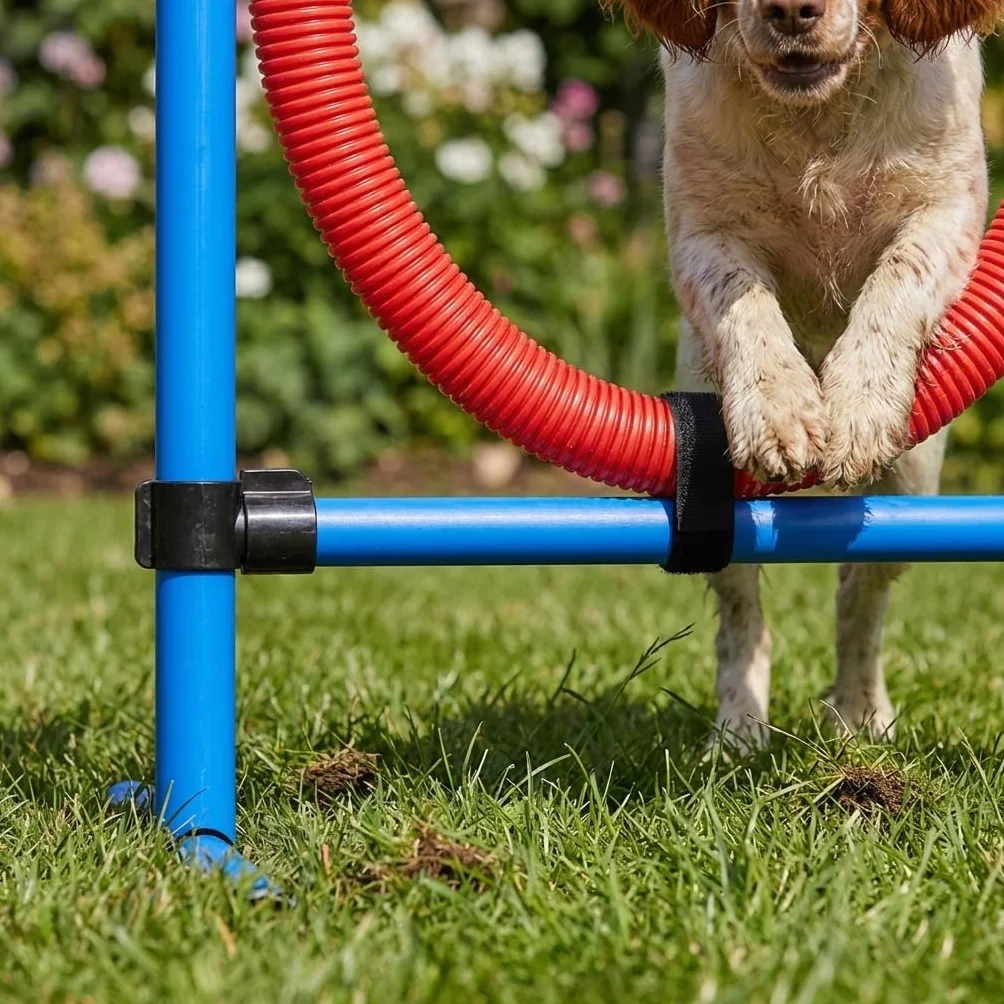 Cerceau d’Agilité pour Chien en Plastique avec Supports Métalliques Ajustables