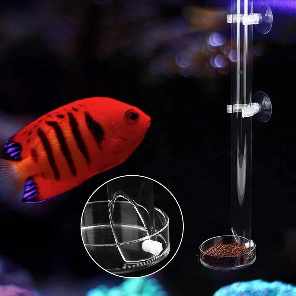 Tube d'alimentation Crevette Acrylique Transparent pour Aquarium 20cm
