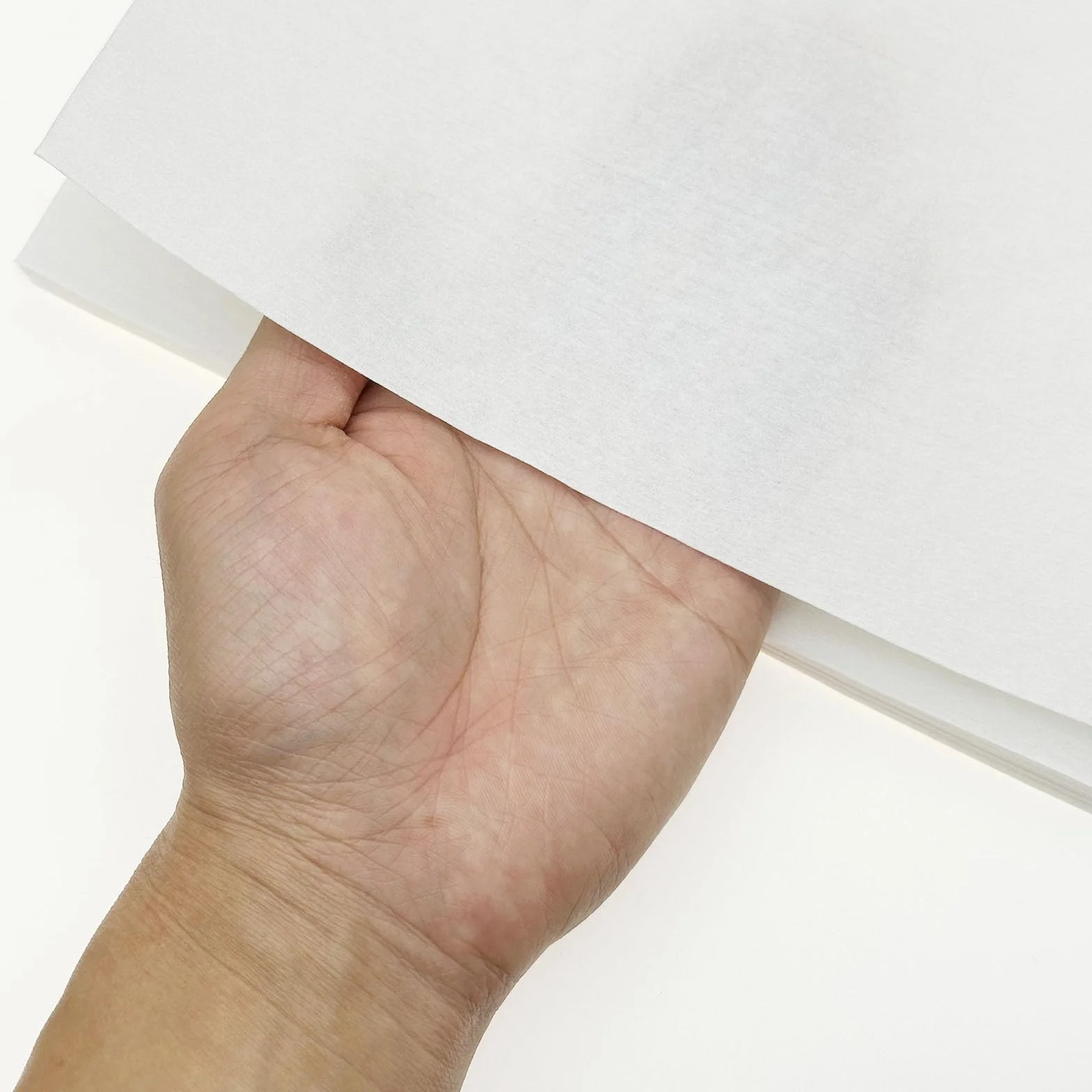 Papier Absorbant pour Oiseaux, Lot de 100 Feuilles Jetables Prédécoupées, Non Tissé, 30 x 40cm