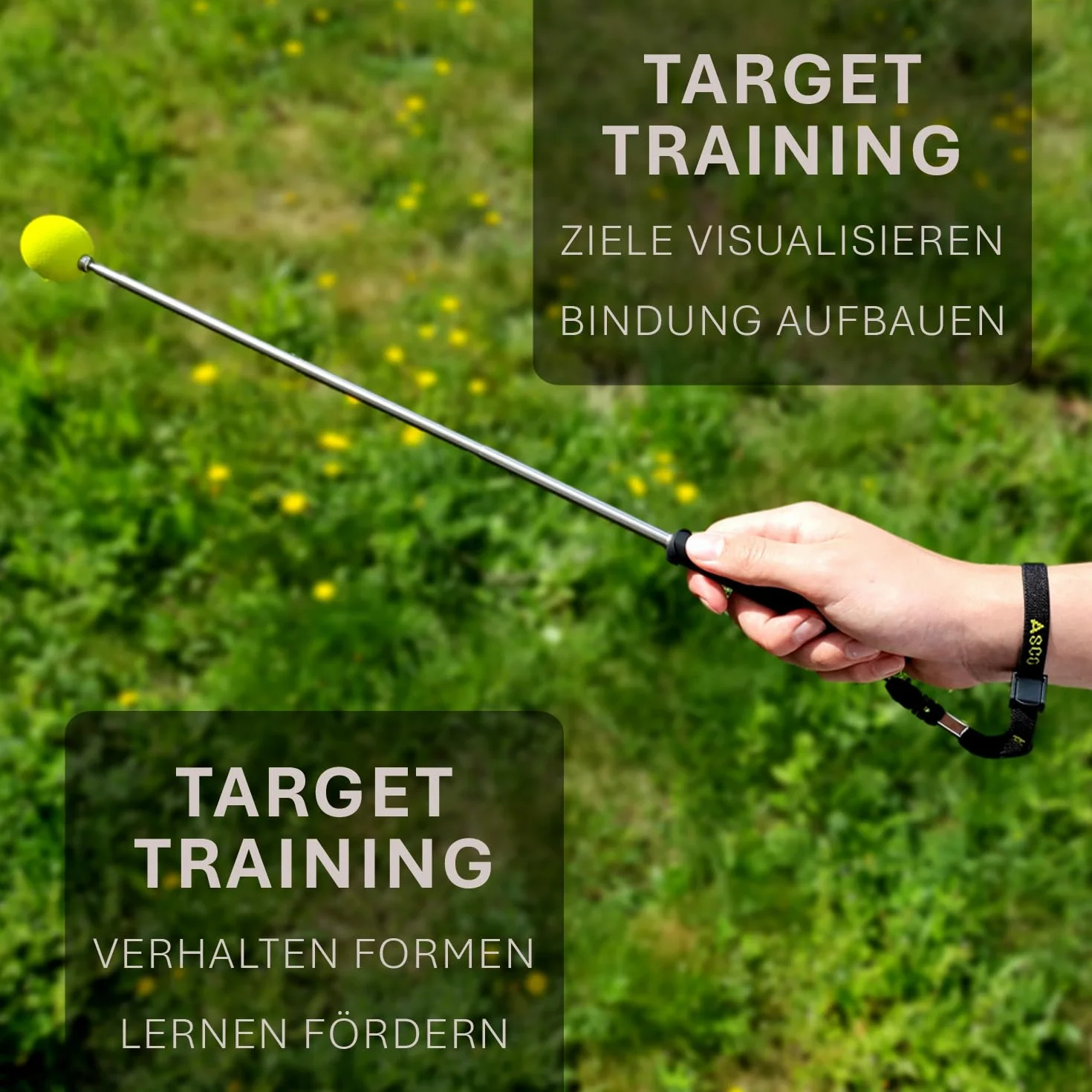 ASCO Target Stick avec Bracelet Extensible pour Chiens, Chats, Chevaux, Dressage et éducation au cliquet, Cible en Acier Inoxydable, Fonction télescopique 17-73 cm, Noir AC01TS