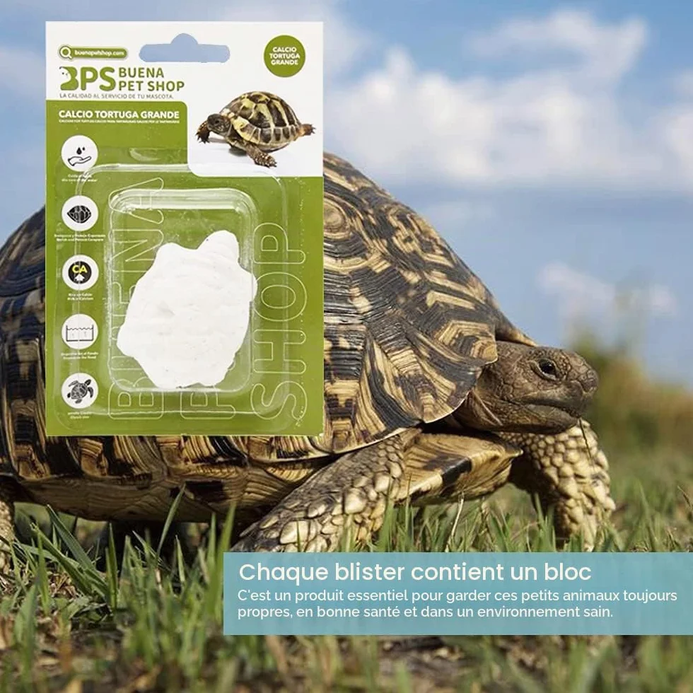 BPS 2 pièces Bloc de Calcium pour Tortues Grand complément de Base Naturel