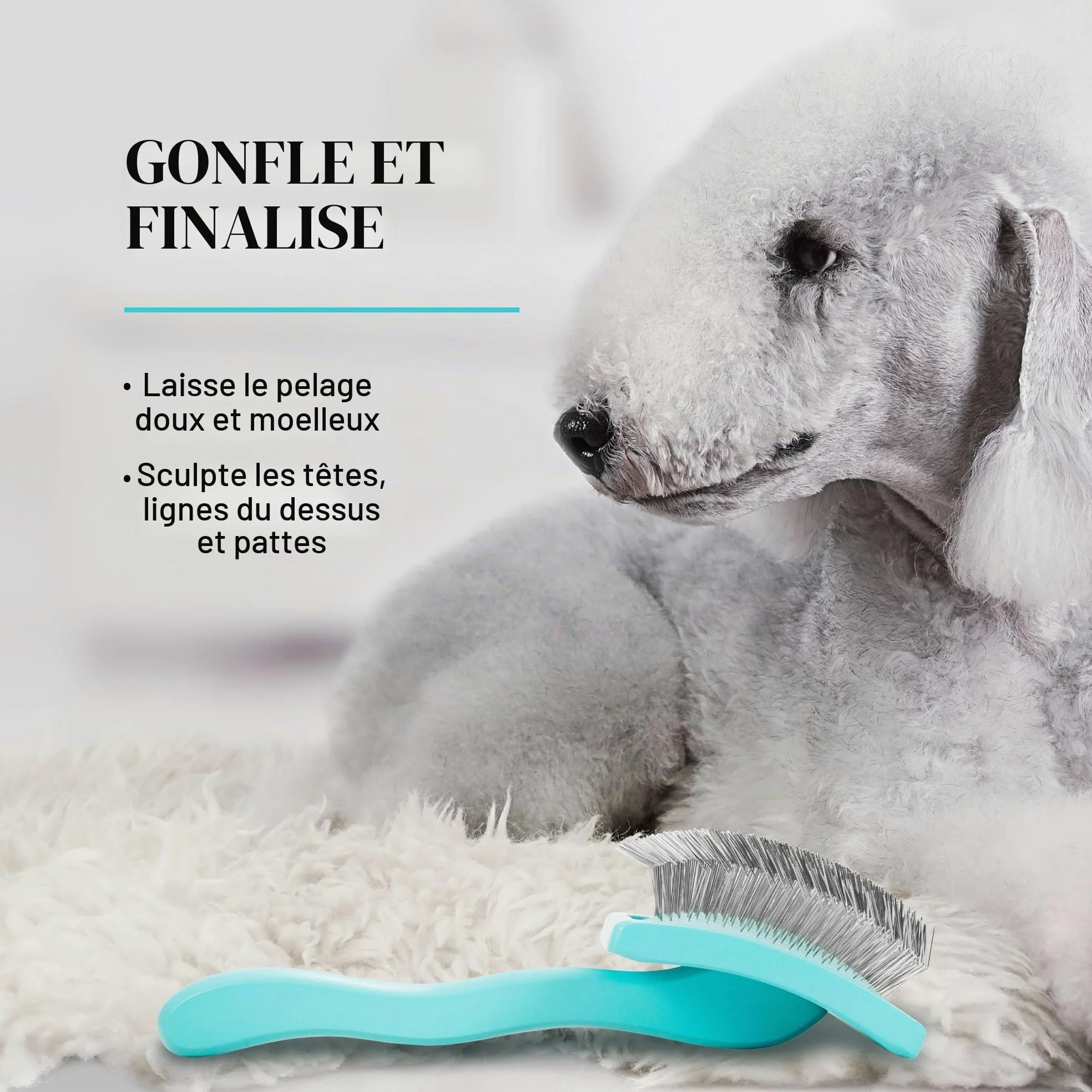 Chris Christensen Big G Brosse à démêler pour chiens (dorés, labradoodles, caniches), toilettez comme un professionnel, style démêlant en peluche, permet d'économiser du temps et de l'énergie, bleu