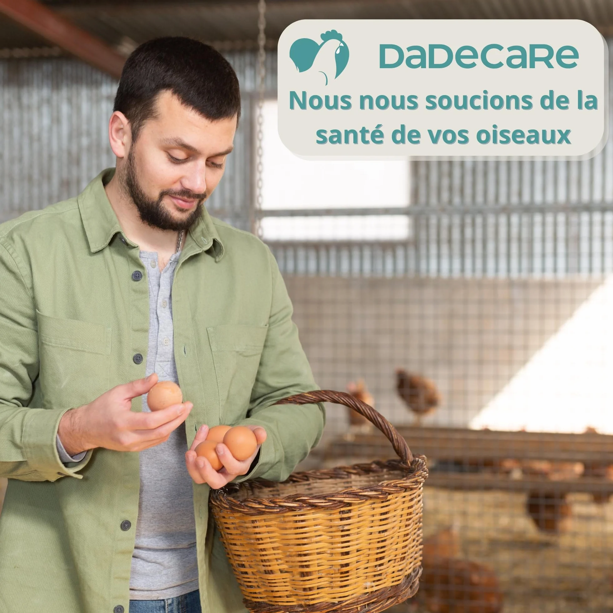 Eggcare Calcium pour Oiseaux 1 l avec minéraux et vitamines – Œufs sains et coquilles résistantes