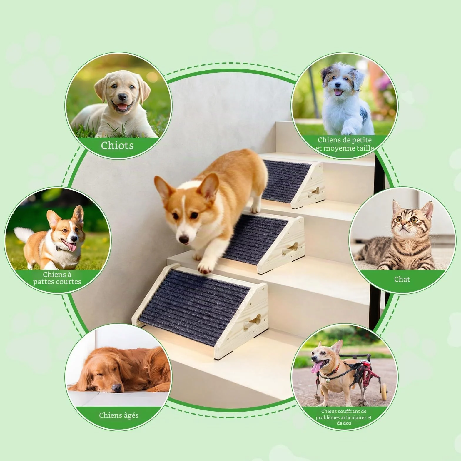 Marches Antidérapantes pour Chien 4 Pièces avec Moquette, Rampes à Angle Bas