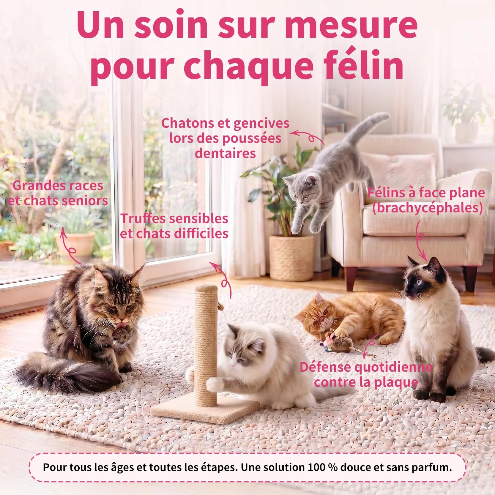 Dentifrice Enzymatique pour Chats - Kit Dentaire 30g