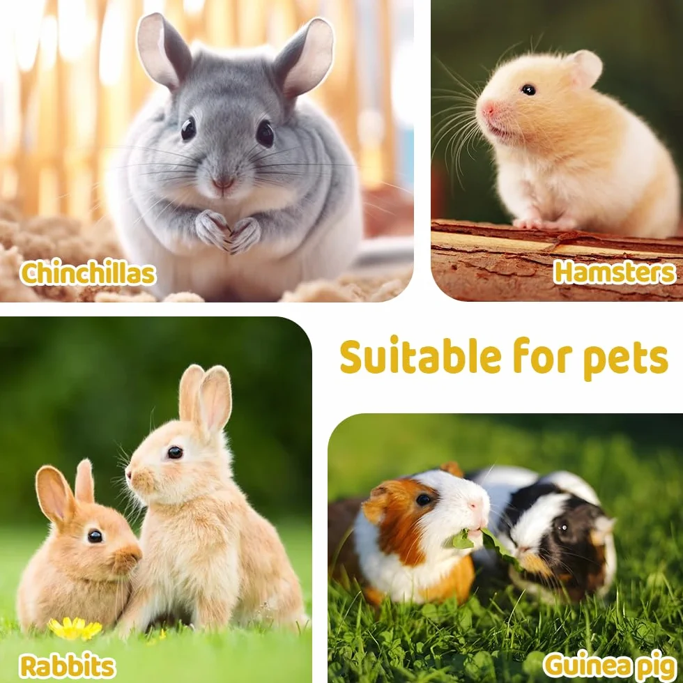 Mangeoire à Foin Suspendue pour Lapins, Cochons d'Inde, Chinchillas et Petits Animaux