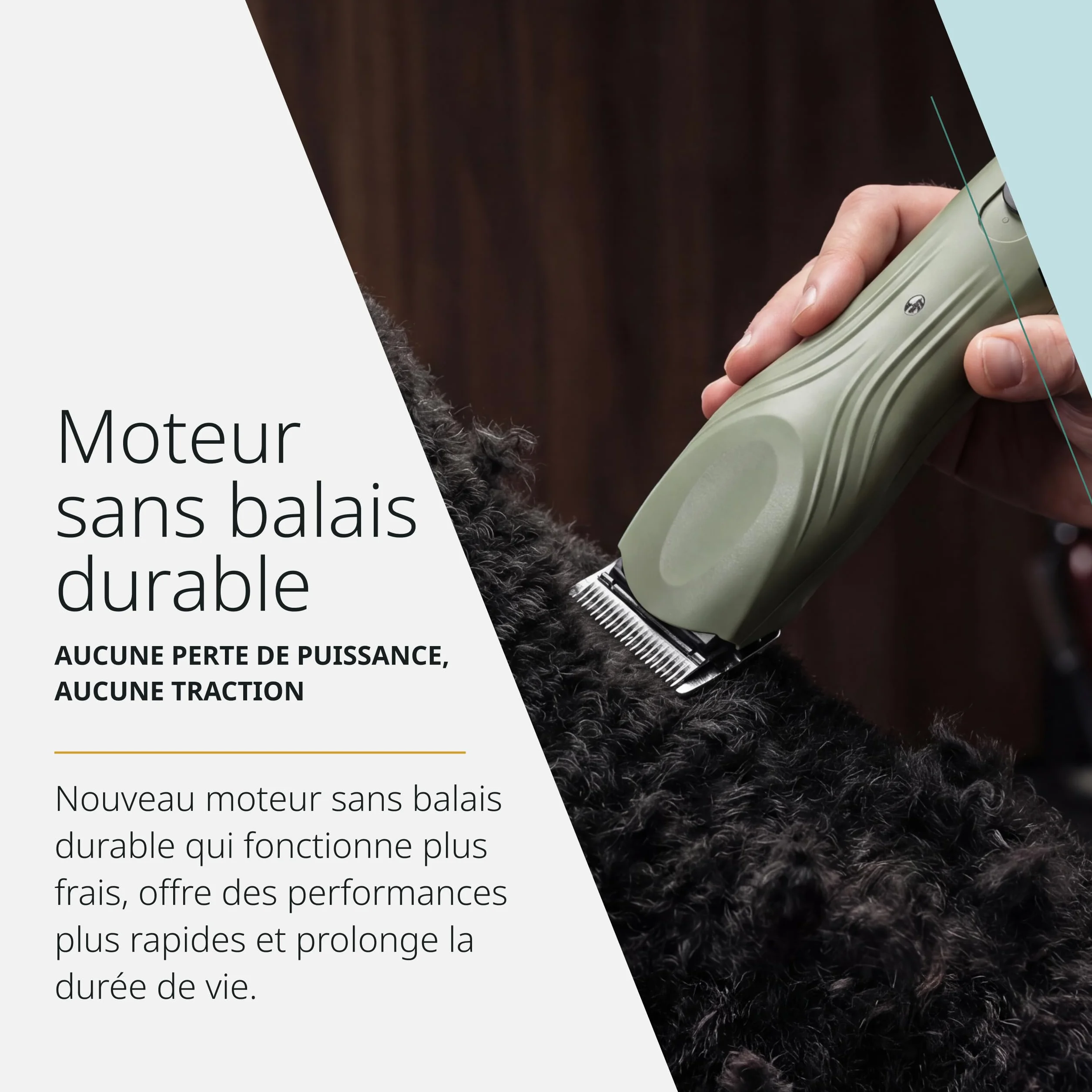 Wahl KMC+ Tondeuse Animaux Moteur Sans Brosse 120 Minutes Autonomie