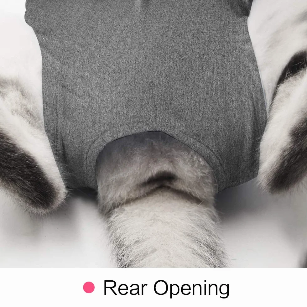 Costume de récupération Anti-léchage pour Chat Plaies Abdominales Doux Vêtement Animaux Collier E Après Chirurgie
