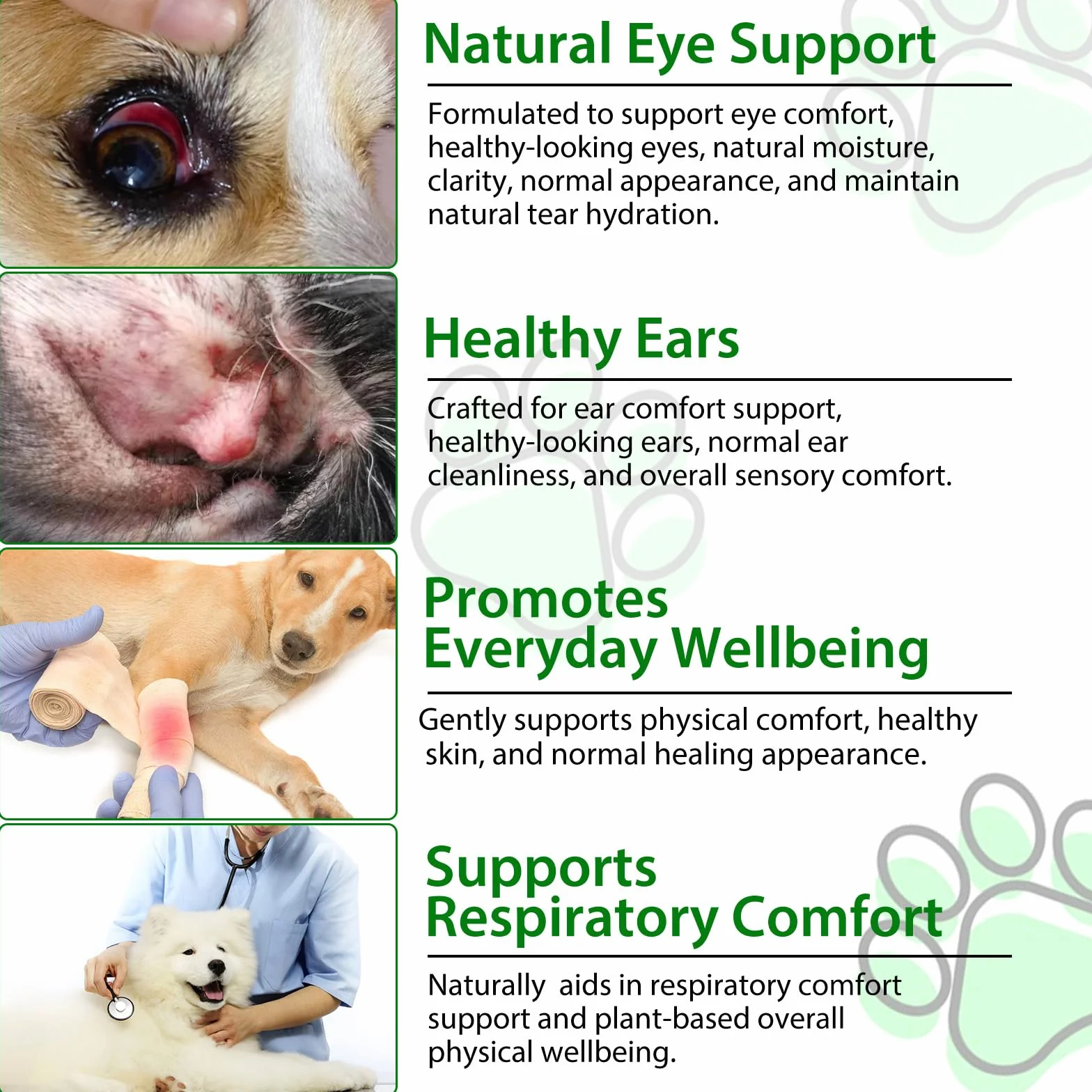 Antibiotiques pour Chiens Infections Allergies Soulagement Démangeaisons 60ml