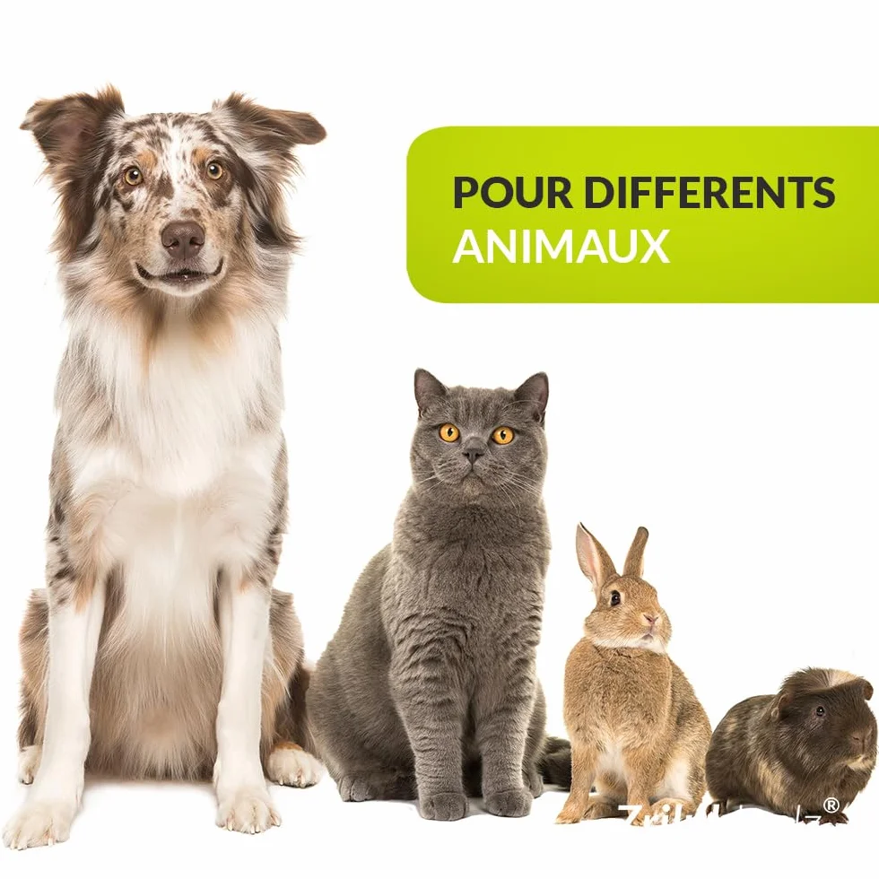 Lot de 3 Tire Tiques pour Chien et Chat – 3 Tailles