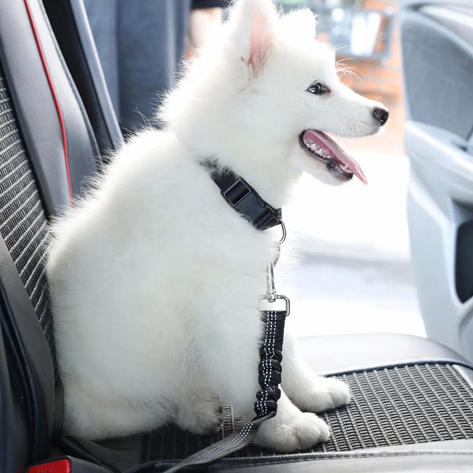 1Pièces Étirement Le Plus Long : 80 cm Ceinture Chien Voiture réglable avec,Attache Ceinture Chien Voiture,Laisse Voiture Chien,Harnais Voiture Chien en Elastique,pour Chiens et Chats-Noir