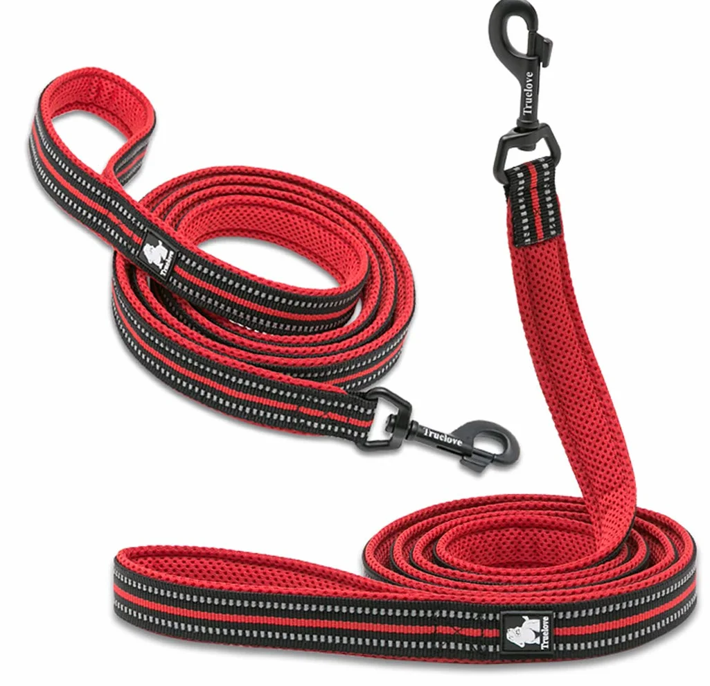 WINHYEPET Chien Laisse Nylon Réfléchissant 110 cm Rouge M