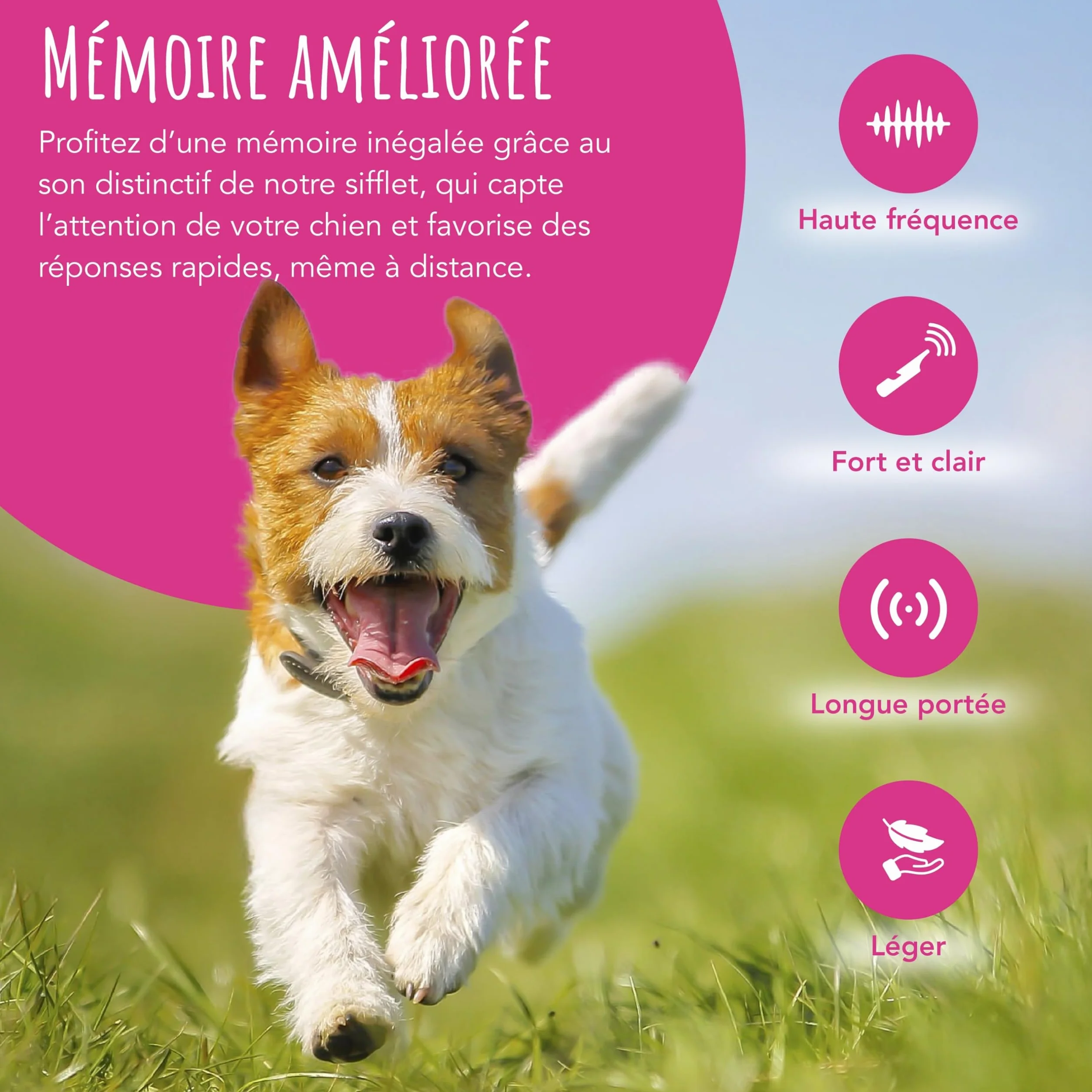 Sifflet d'entraînement pour chien TDL son fort longue portée haute fréquence avec lanière