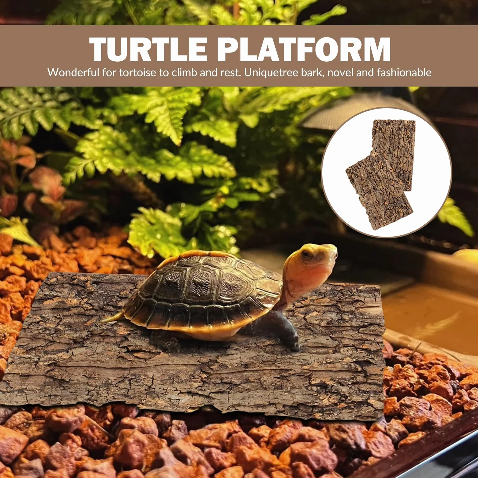 Lot de 3 écorces de liège pour terrarium 15 x 30 cm - Décoration d'arbre - Plaque de fond pour reptiles
