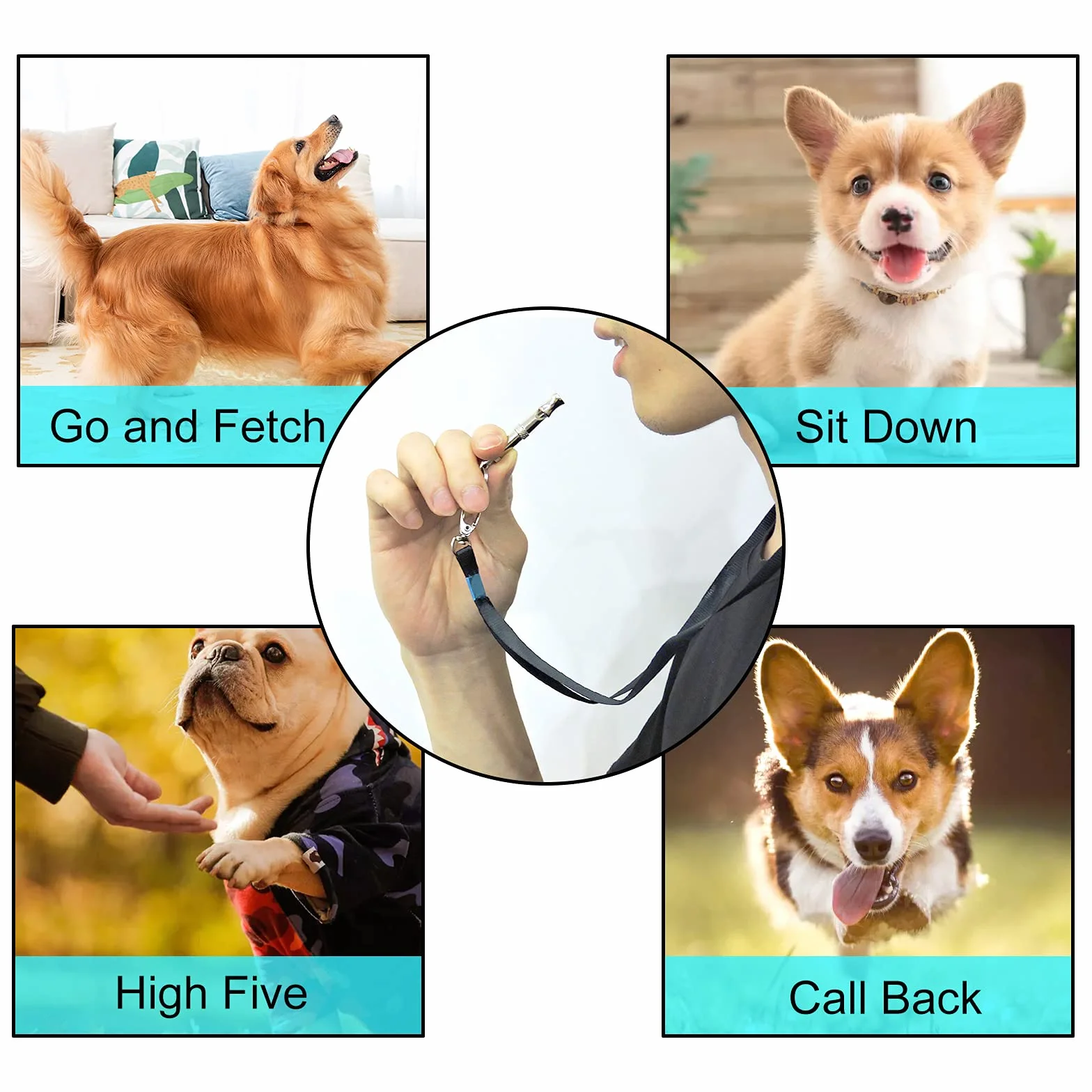 Sifflet pour Chien en Acier Inoxydable à fréquence réglable Andiker 2 Pcs avec lanière