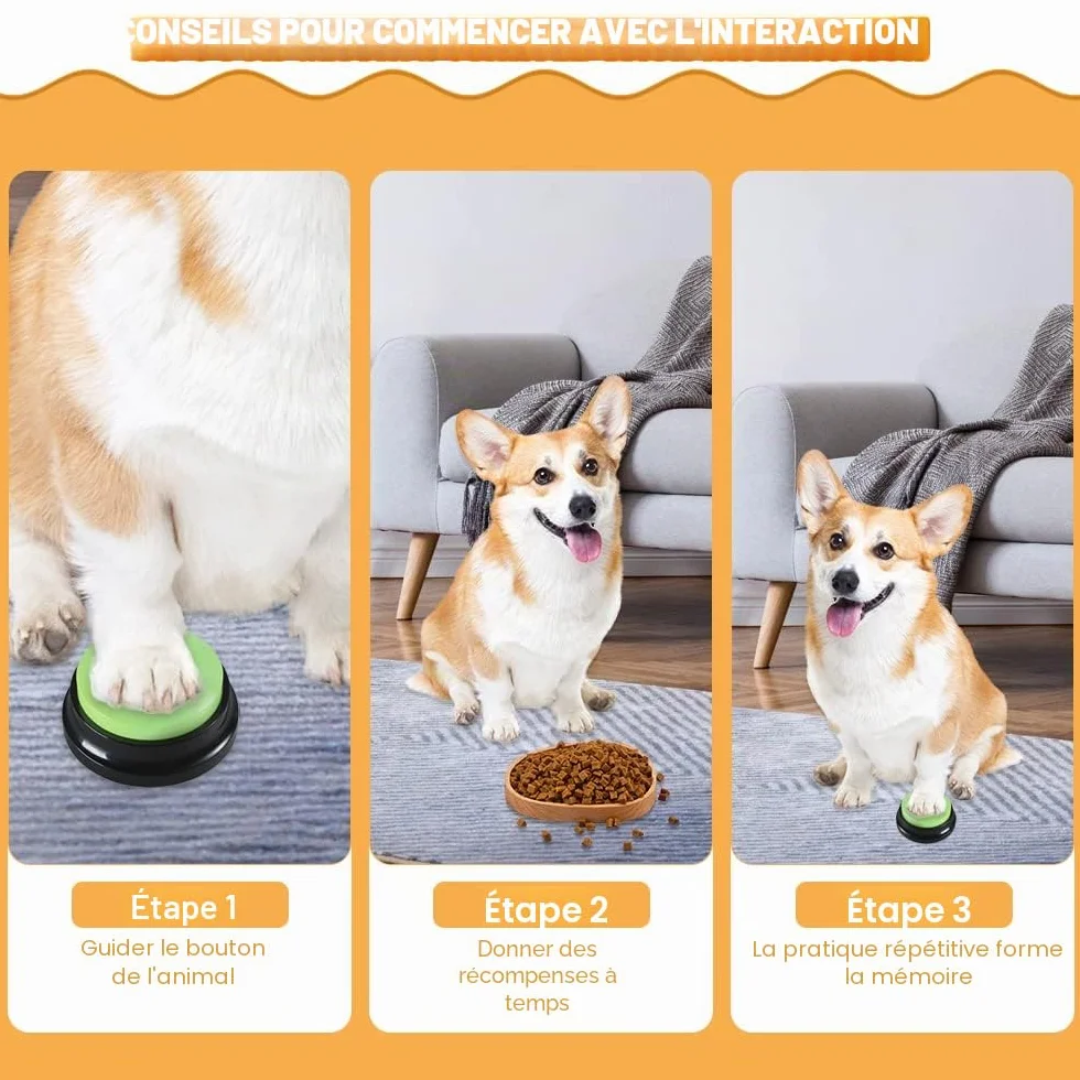 Buzzer Enregistrable Voix, Lot de 4 Buzzer Enregistrable, Bouton Parlant Enregistrable, Bouton Chien Communication, pour lEntraînement au Animaux Communication Enregistrée