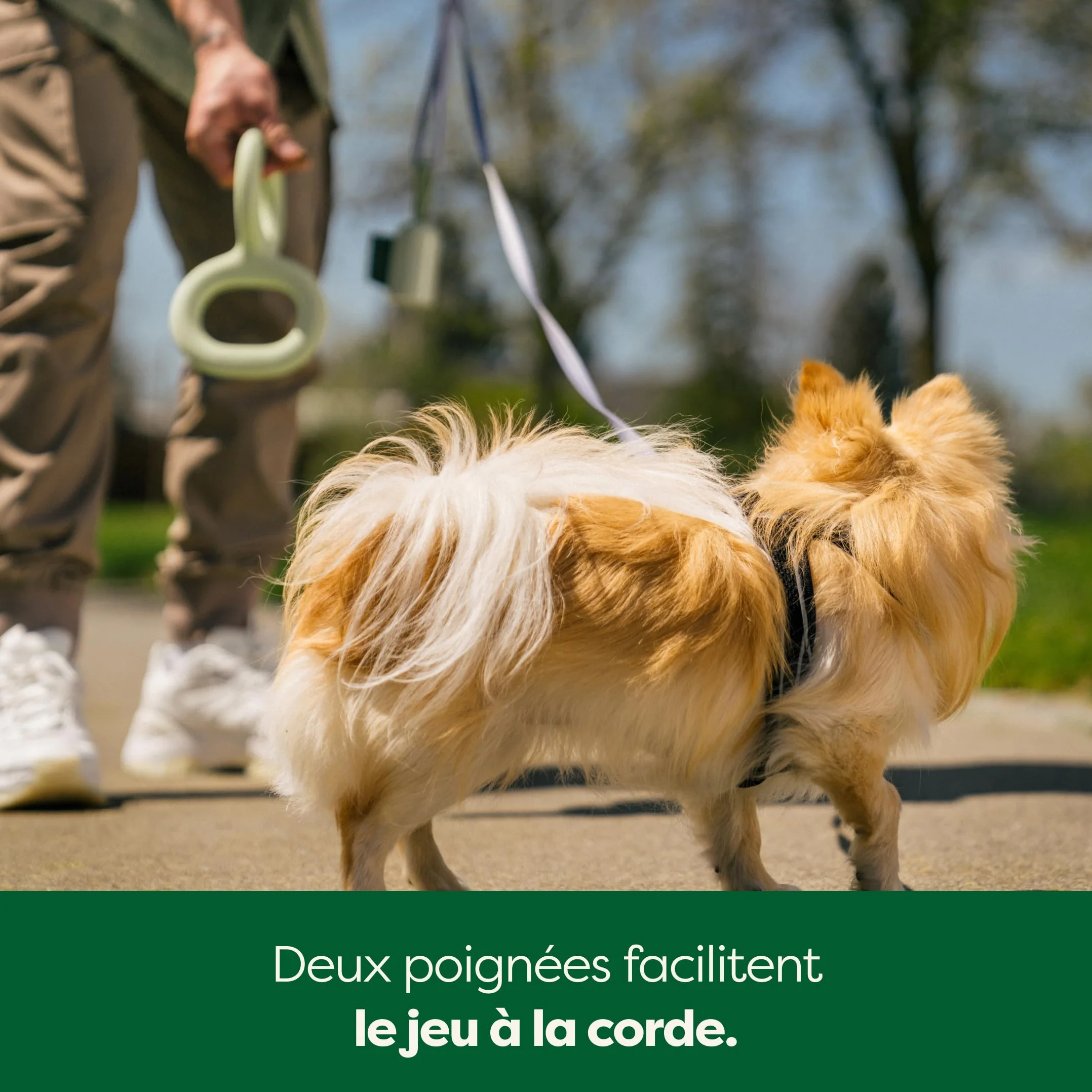 Earth Rated Tug of War Jouet interactif à Tirer pour Chien Adulte et Chiot - Prise en Main Ergonomique - Caoutchouc Naturel - Taille S - Vert