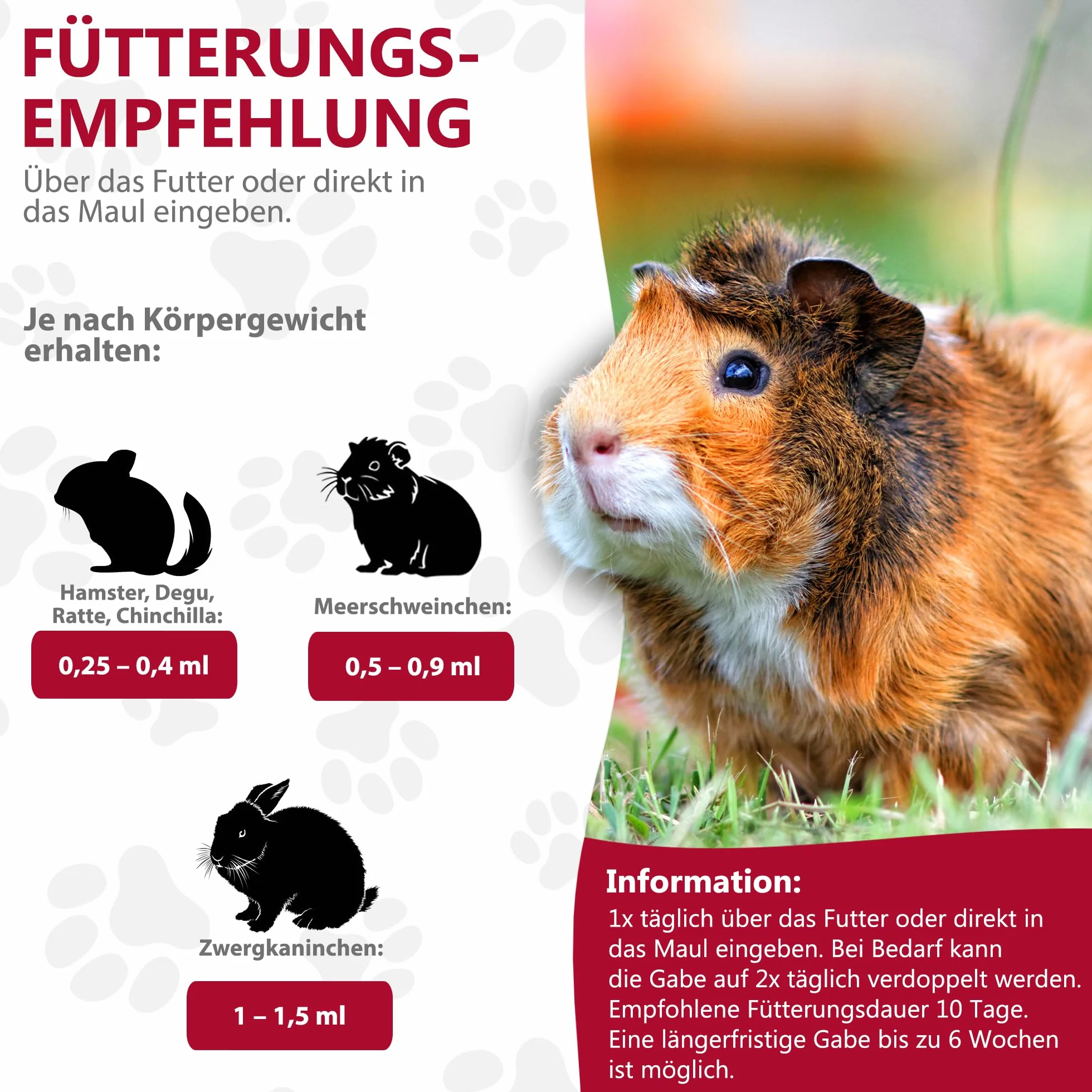 alfavet RodiCare Pulmo 2 x 20 ML Complément Alimentaire Voies Respiratoires Cochons d'Inde Rongeurs