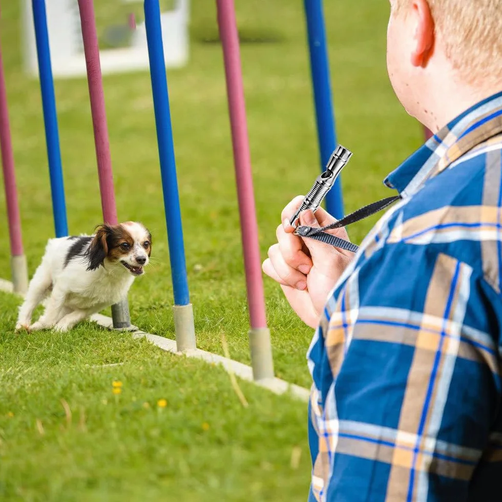 Sifflet pour Chien DONGKER en Titane 120 DB avec Fermoir de Suspension