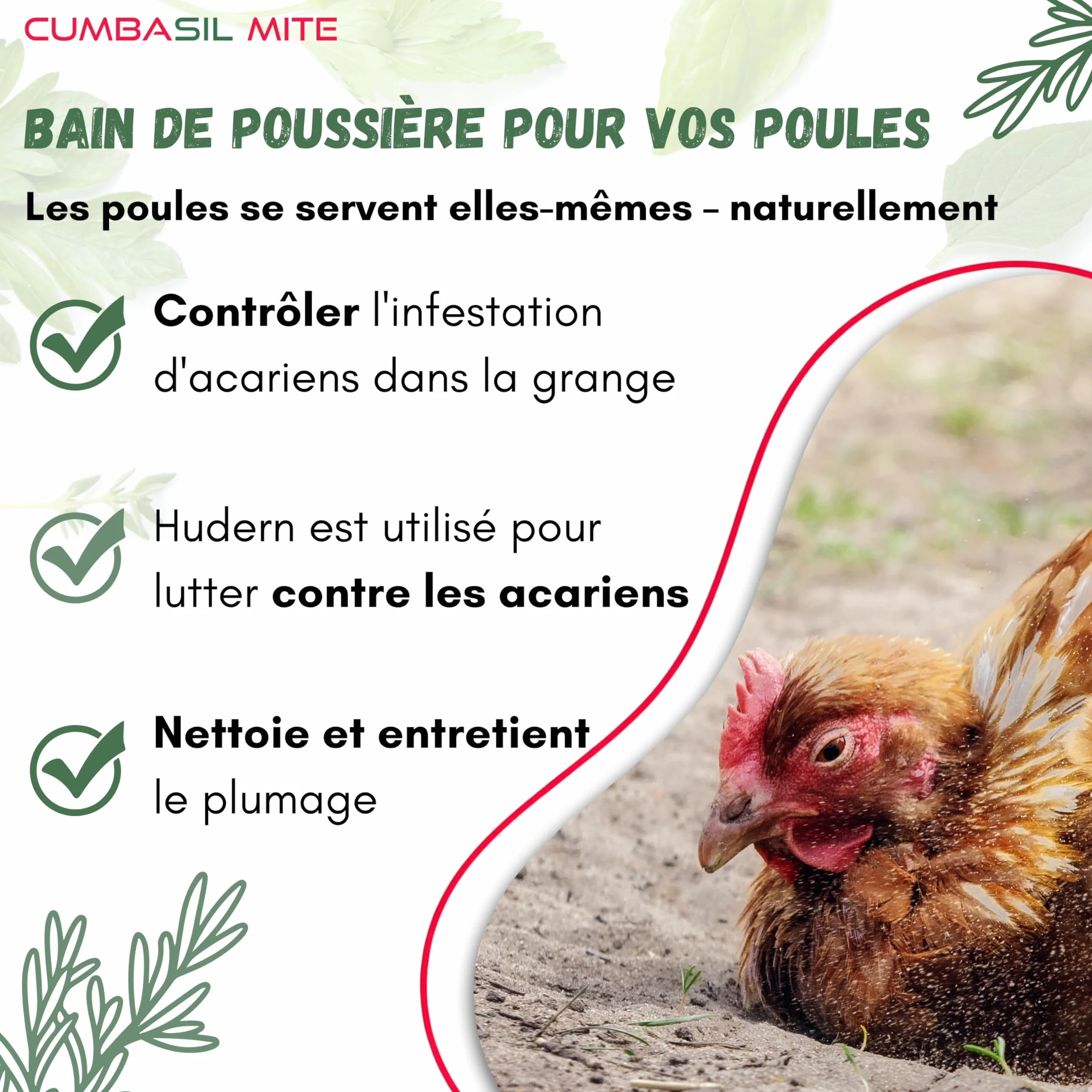Lot de 3 bains de poussière pour poules 25 kg anti-acariens poudre naturelle